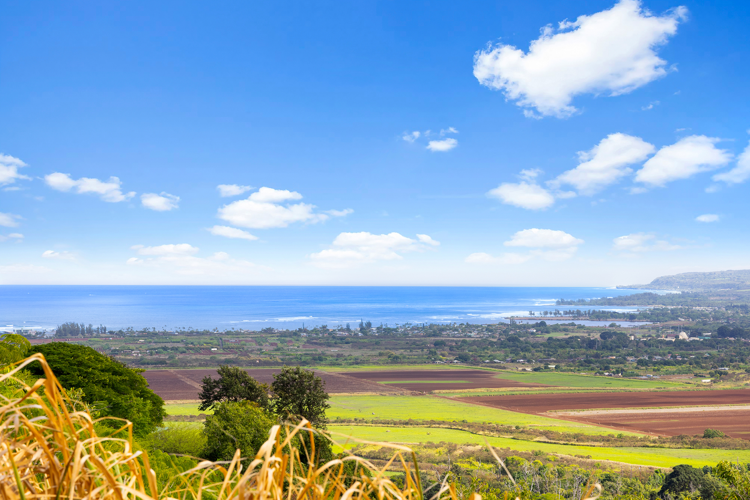 67-174-B Farrington Hwy, 1, Waialua, HI 96791