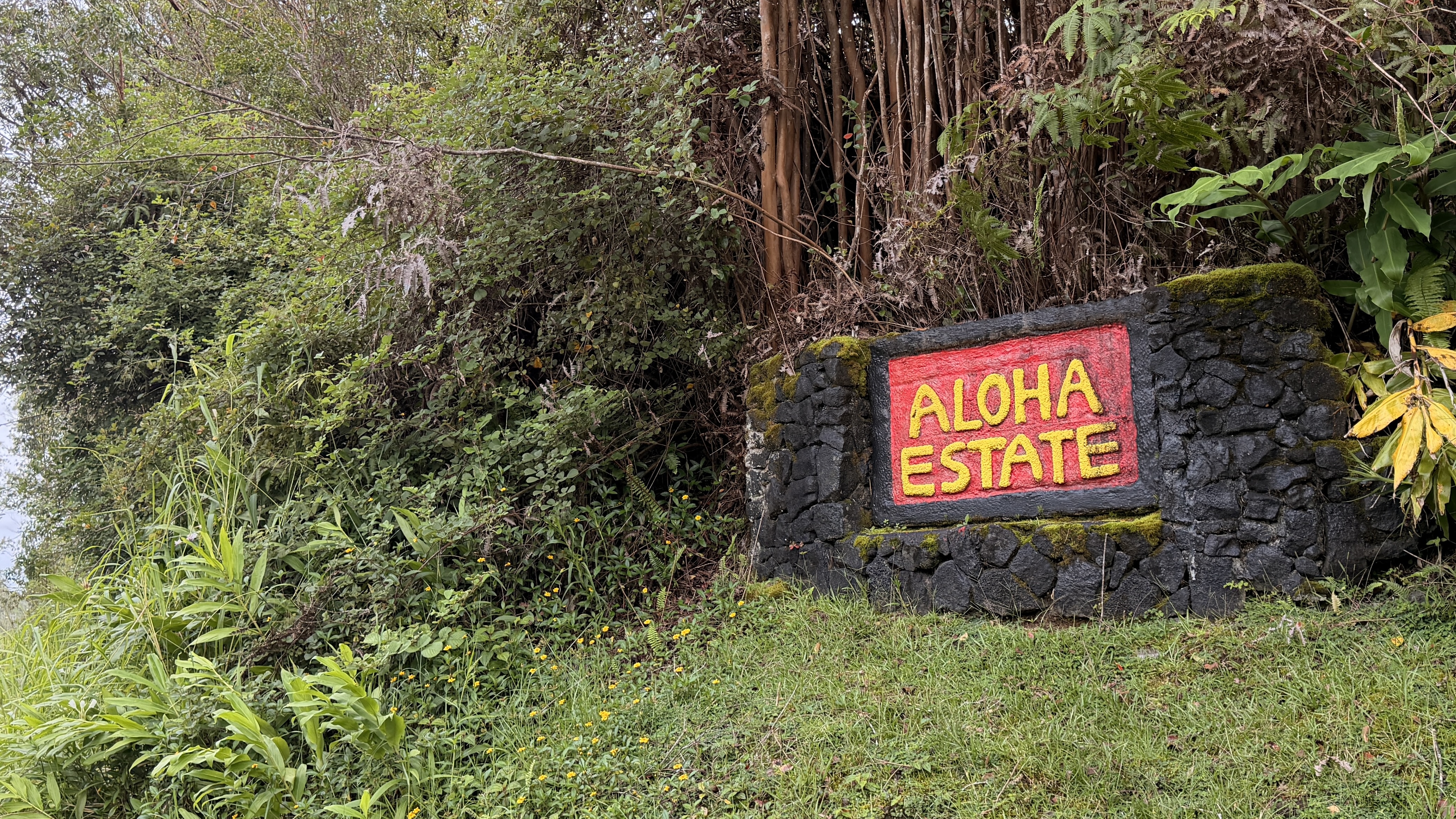 18-2019 Pua St, Mountain View, HI 96771