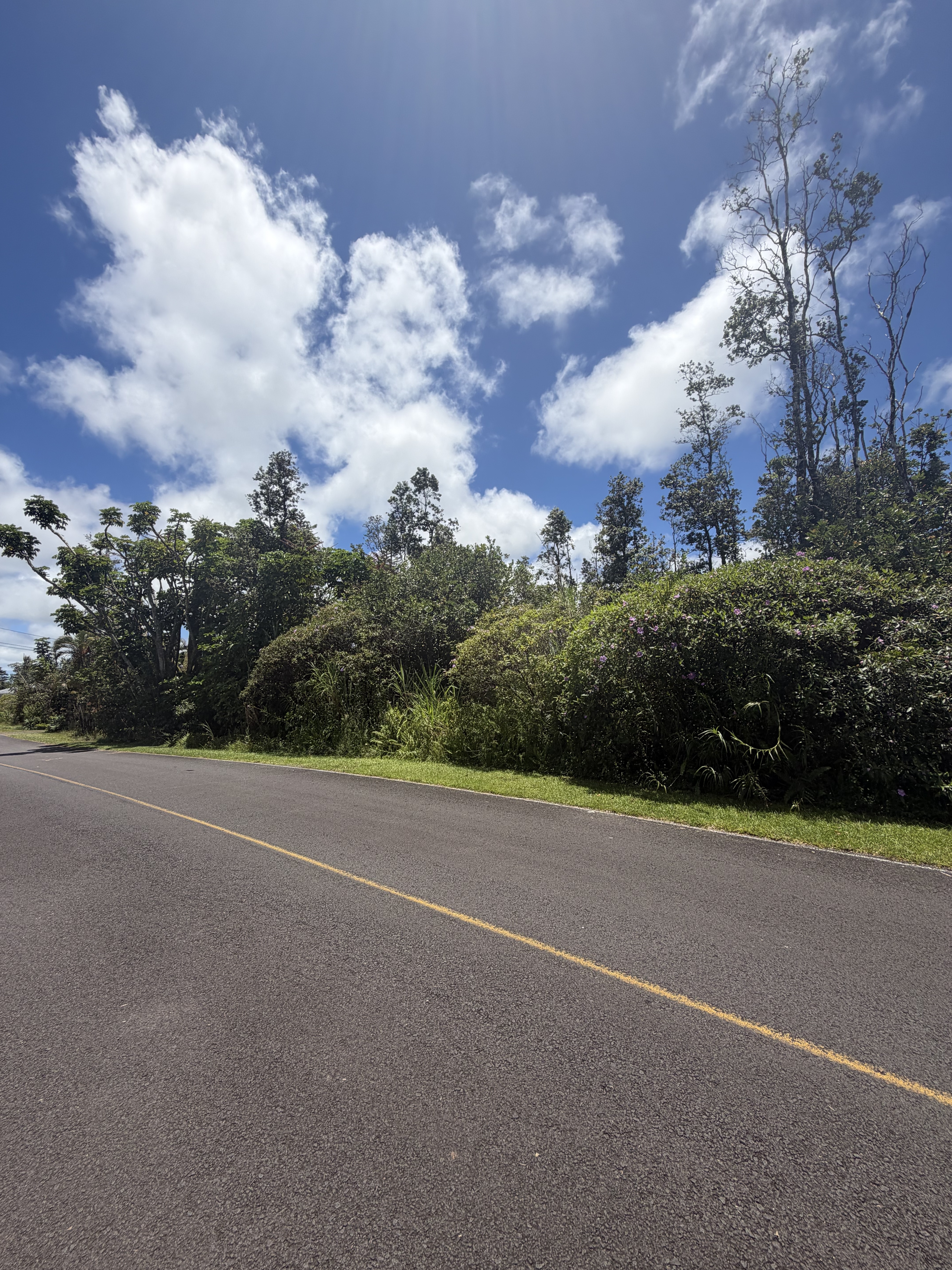 16-2110 Silversword Dr, Pahoa, HI 96778