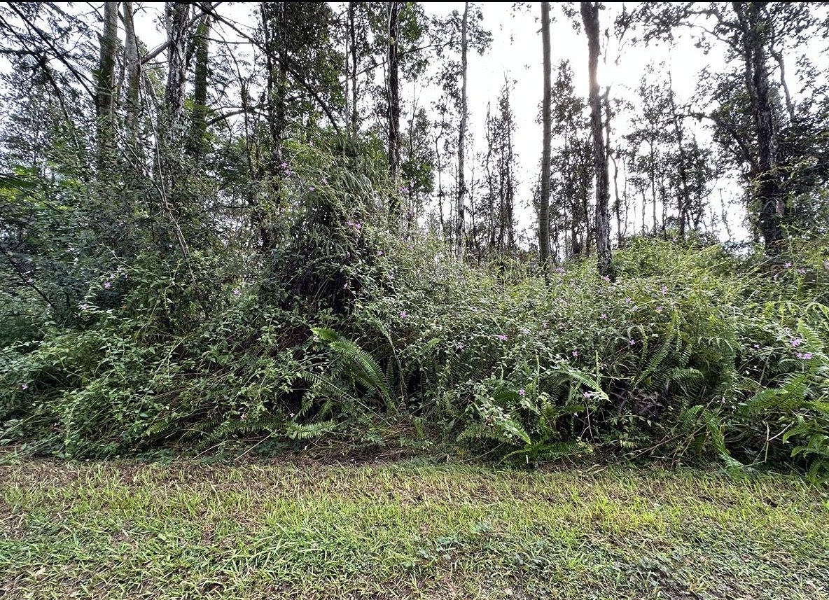 14-881 Flower Rd, Pahoa, HI 96778