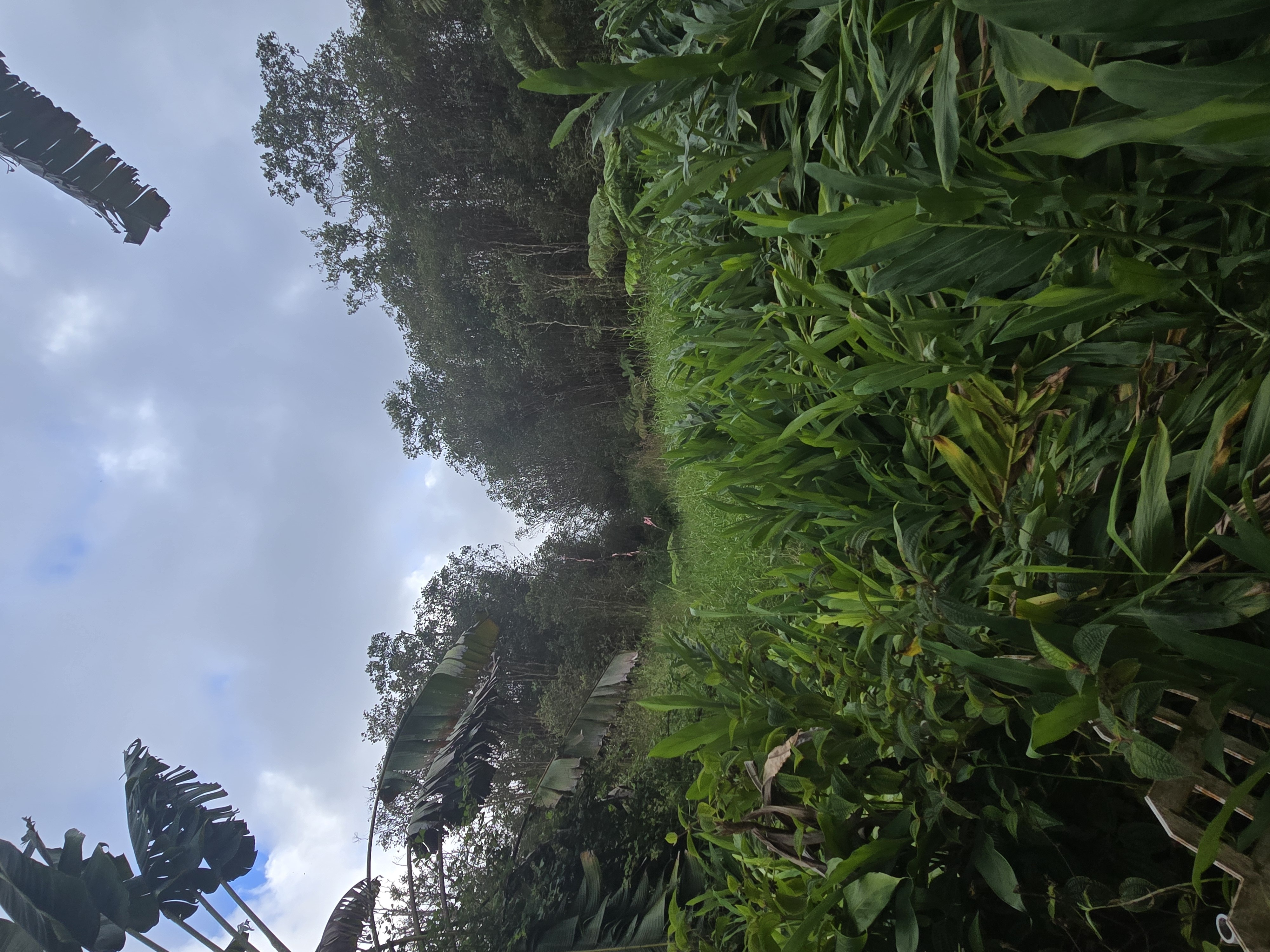 18-1983 Waiwai Street, Mountain View, HI 96771