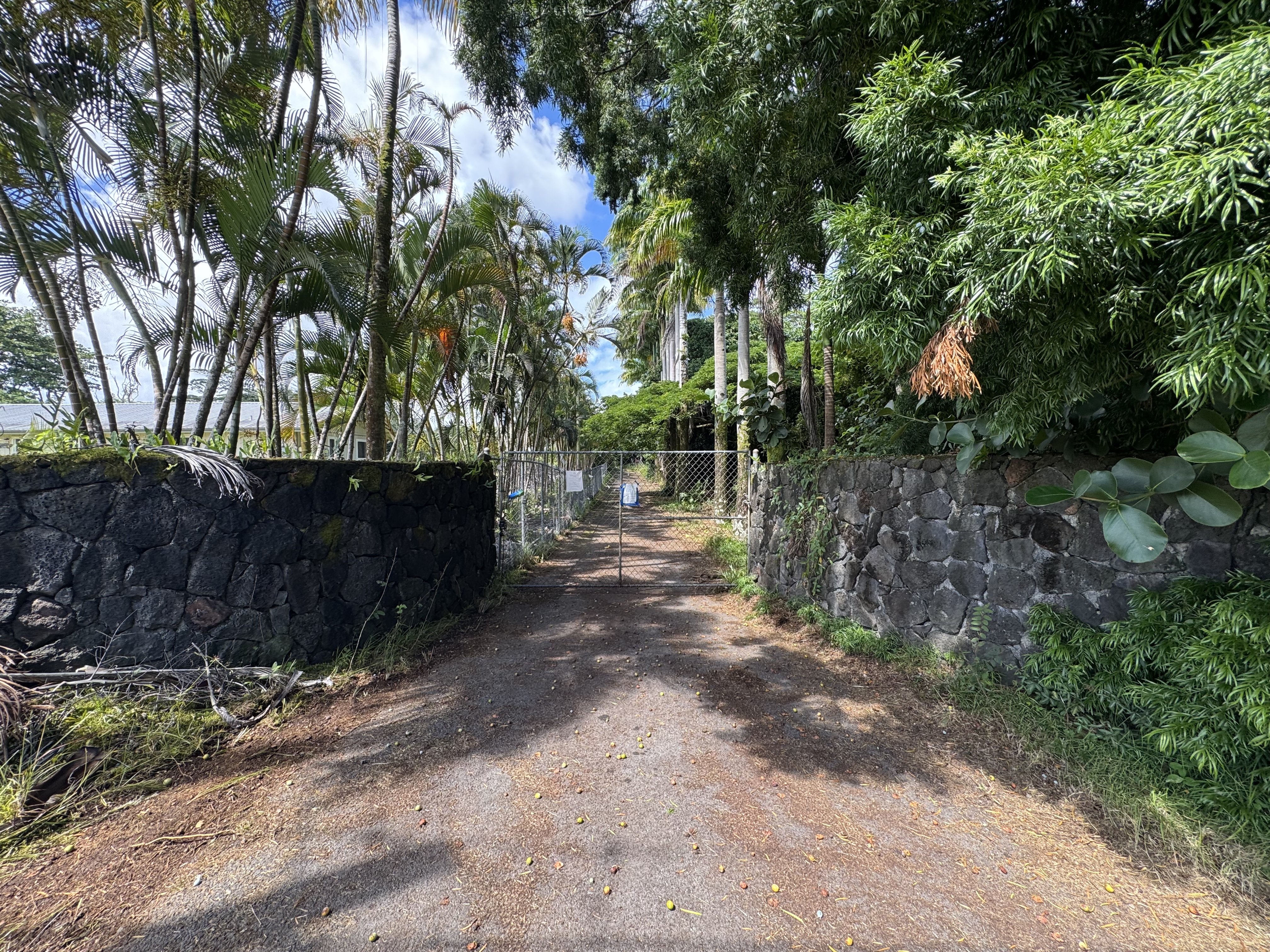 15-1694 23Rd Ave, Keaau, HI 96749