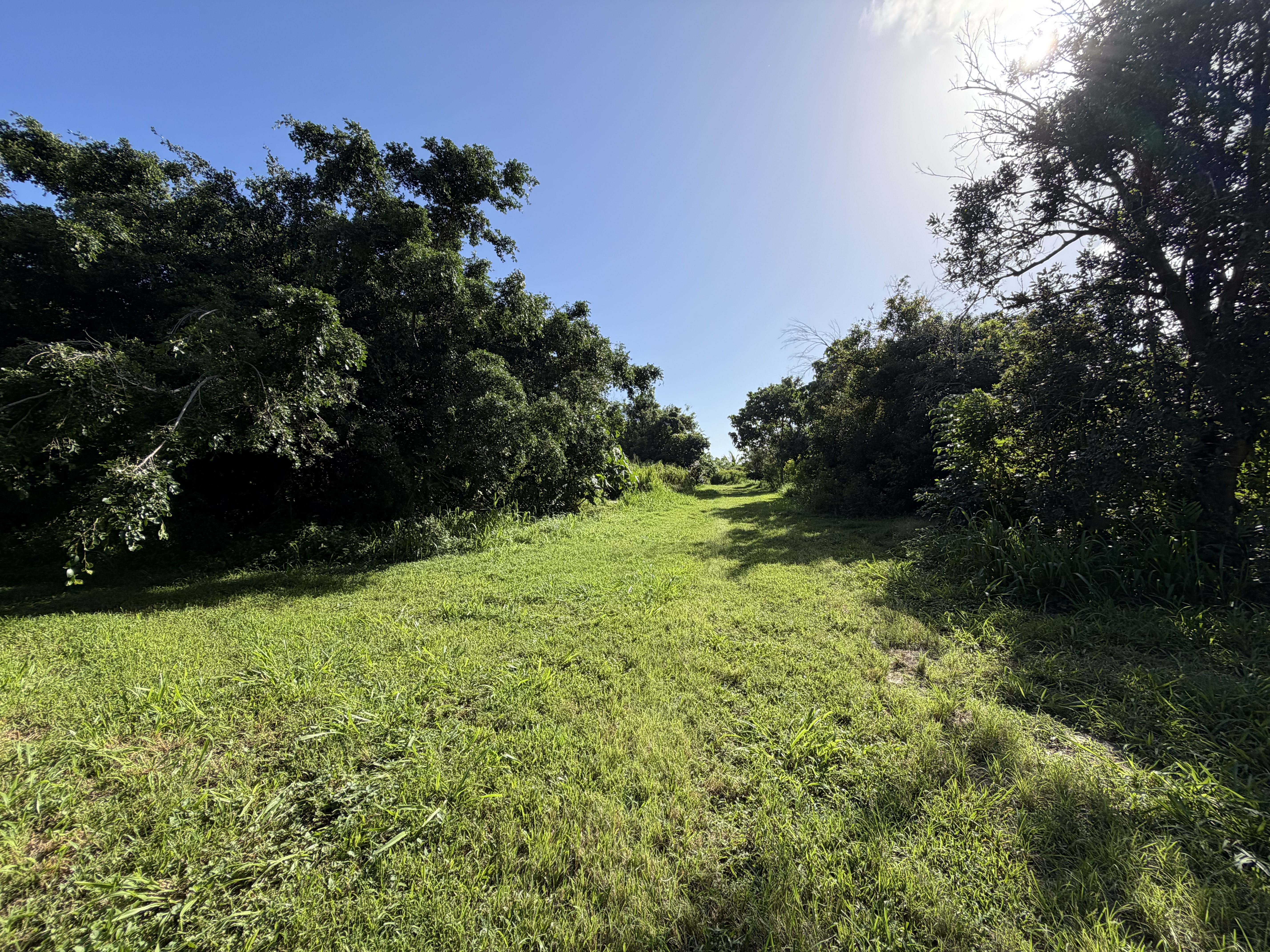 13-2056 Lolia Pl, Pahoa, HI 96778