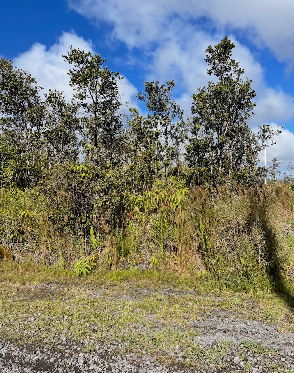 11-2698 Kaleponi Dr, Volcano, HI 96785