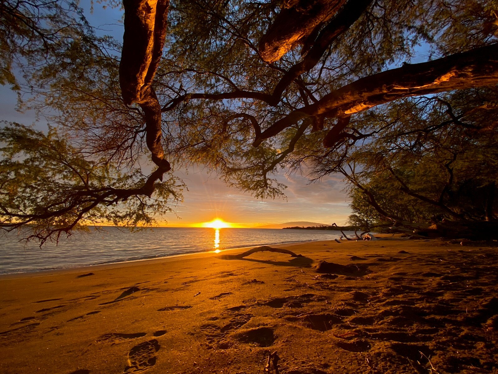 843 Paekii Pl, Lahaina, HI 96761