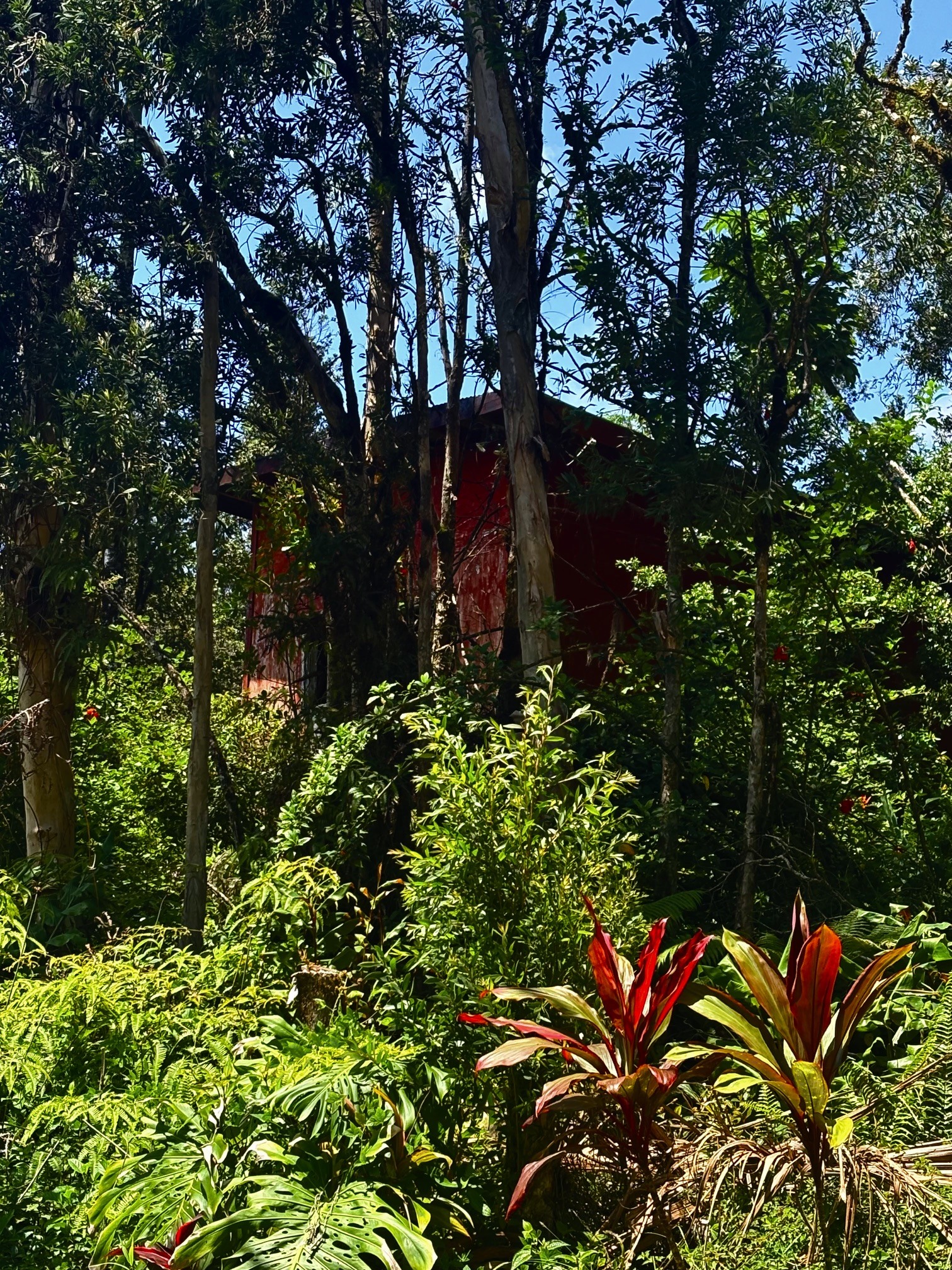 16-2112 Uhini Ana Rd, Mountain View, HI 96771
