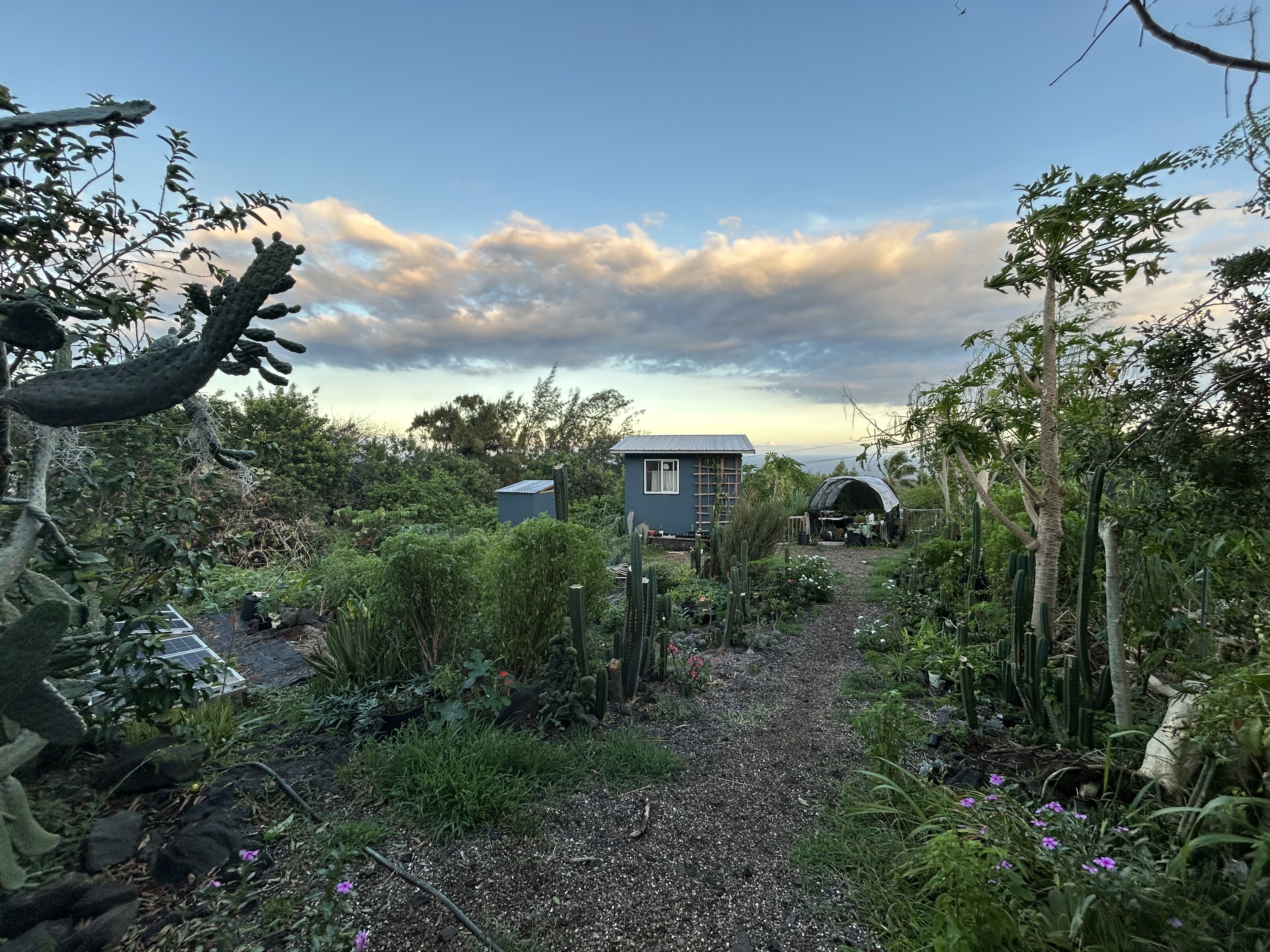 94-6482 Palaoa Rd, Naalehu, HI 96772