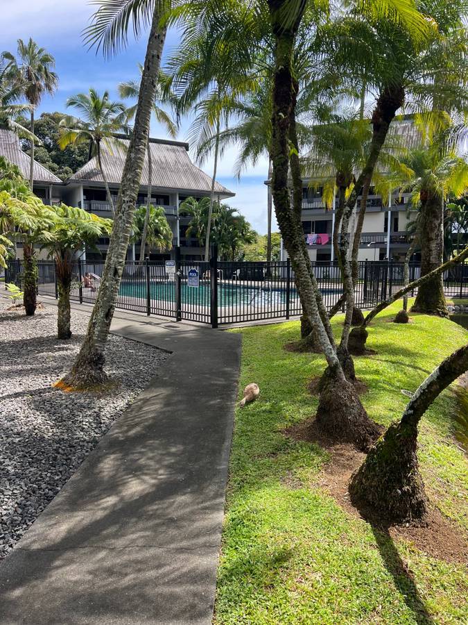 400 Hualani St, 3317, Hilo, HI 96720