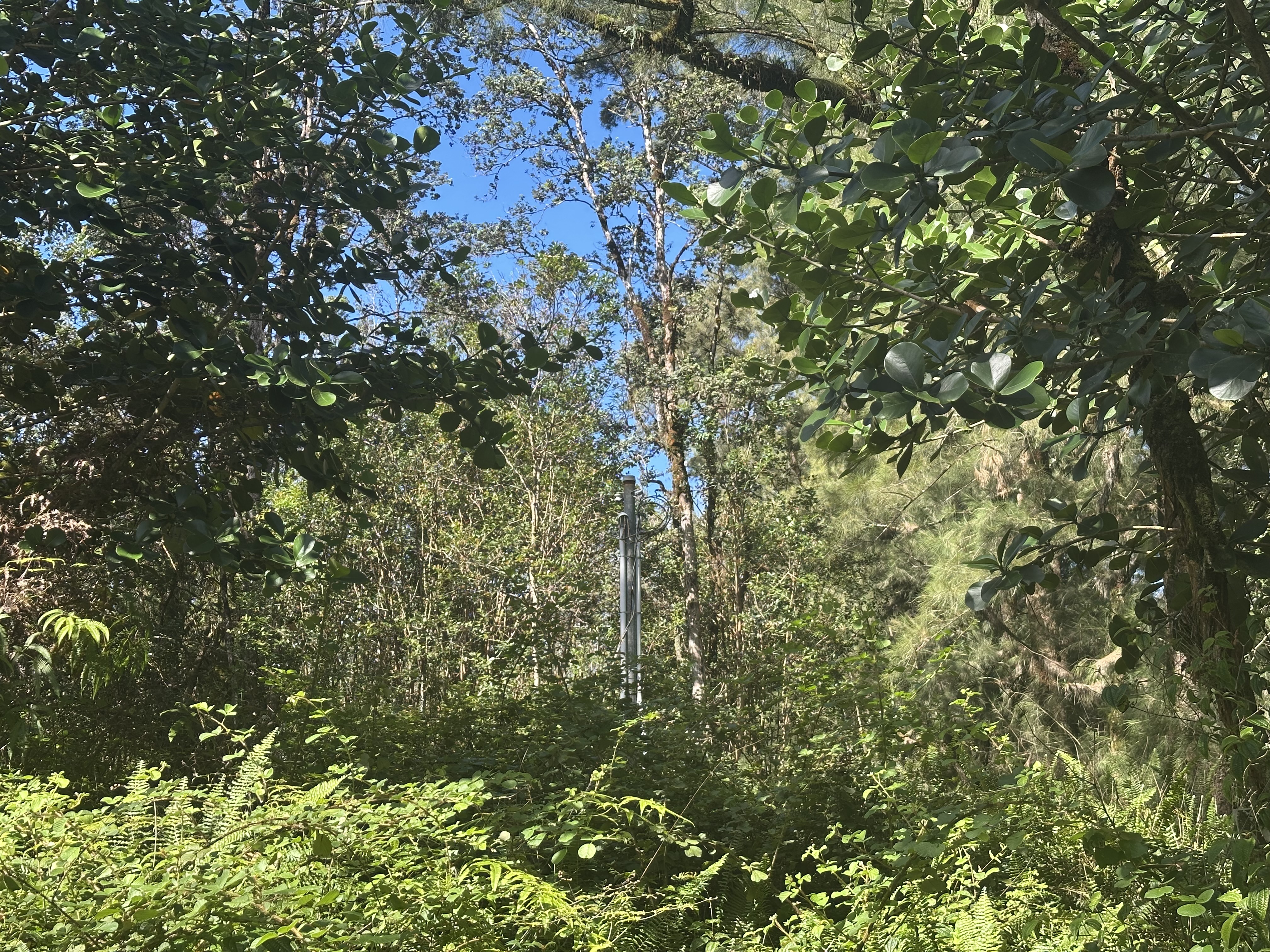 16-1384 Ao Rd, Mountain View, HI 96771