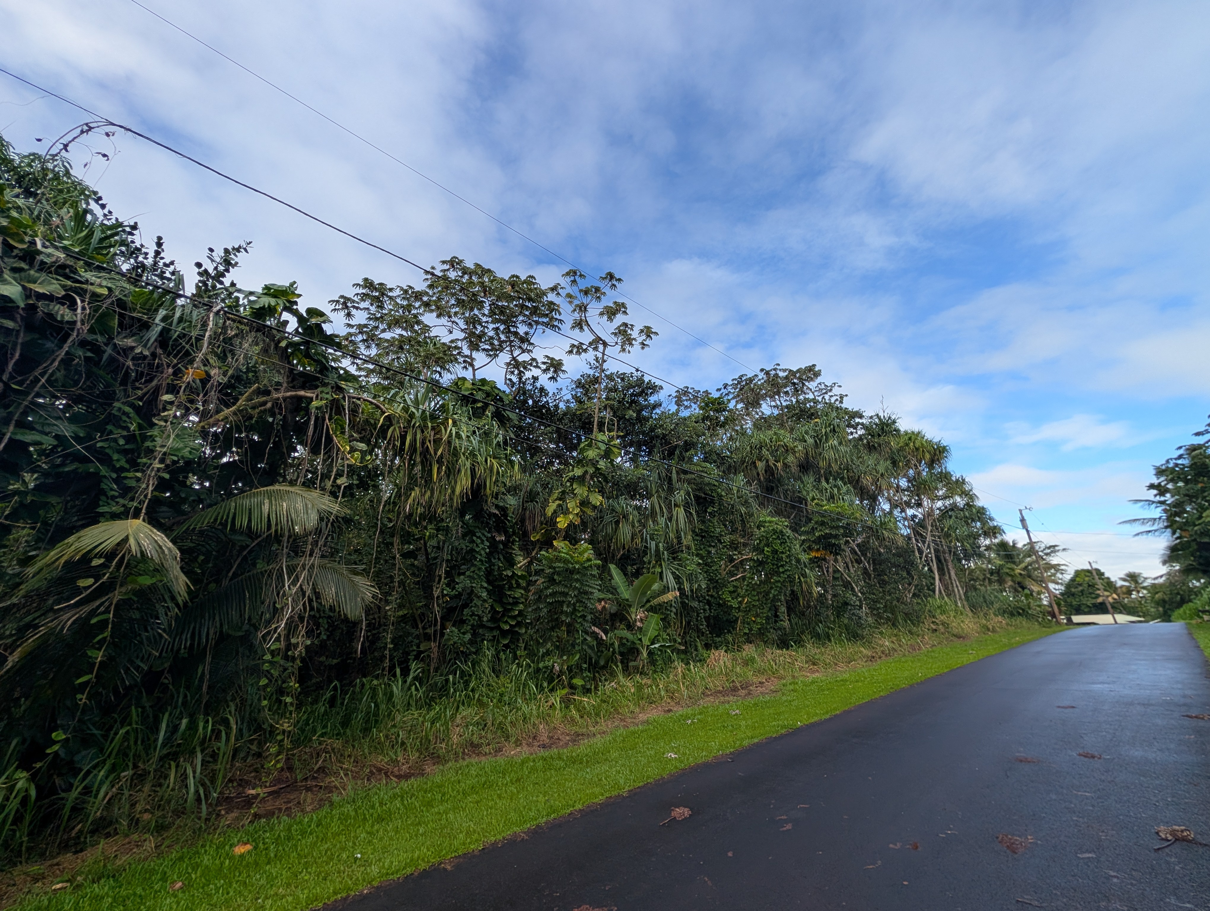 15-2778 Ono St, Pahoa, HI 96778