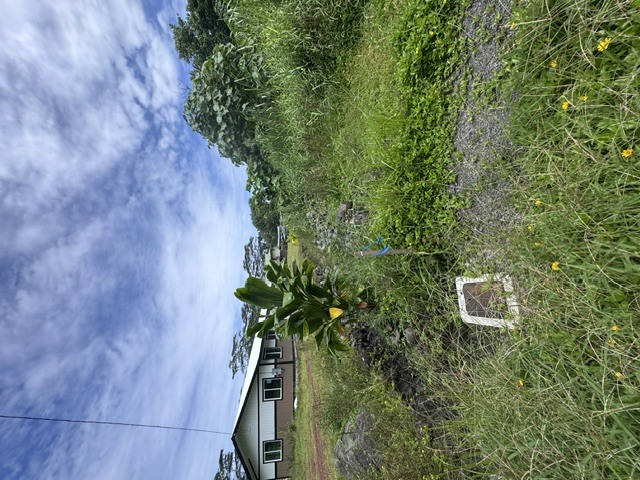 15-2681 Maikoiko St, Pahoa, HI 96778