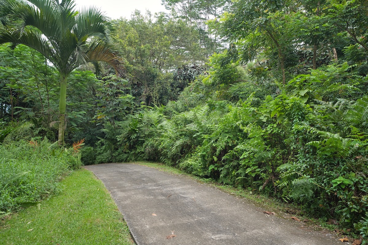 27-2430 Hawaii Belt Rd, Papaikou, HI 96781