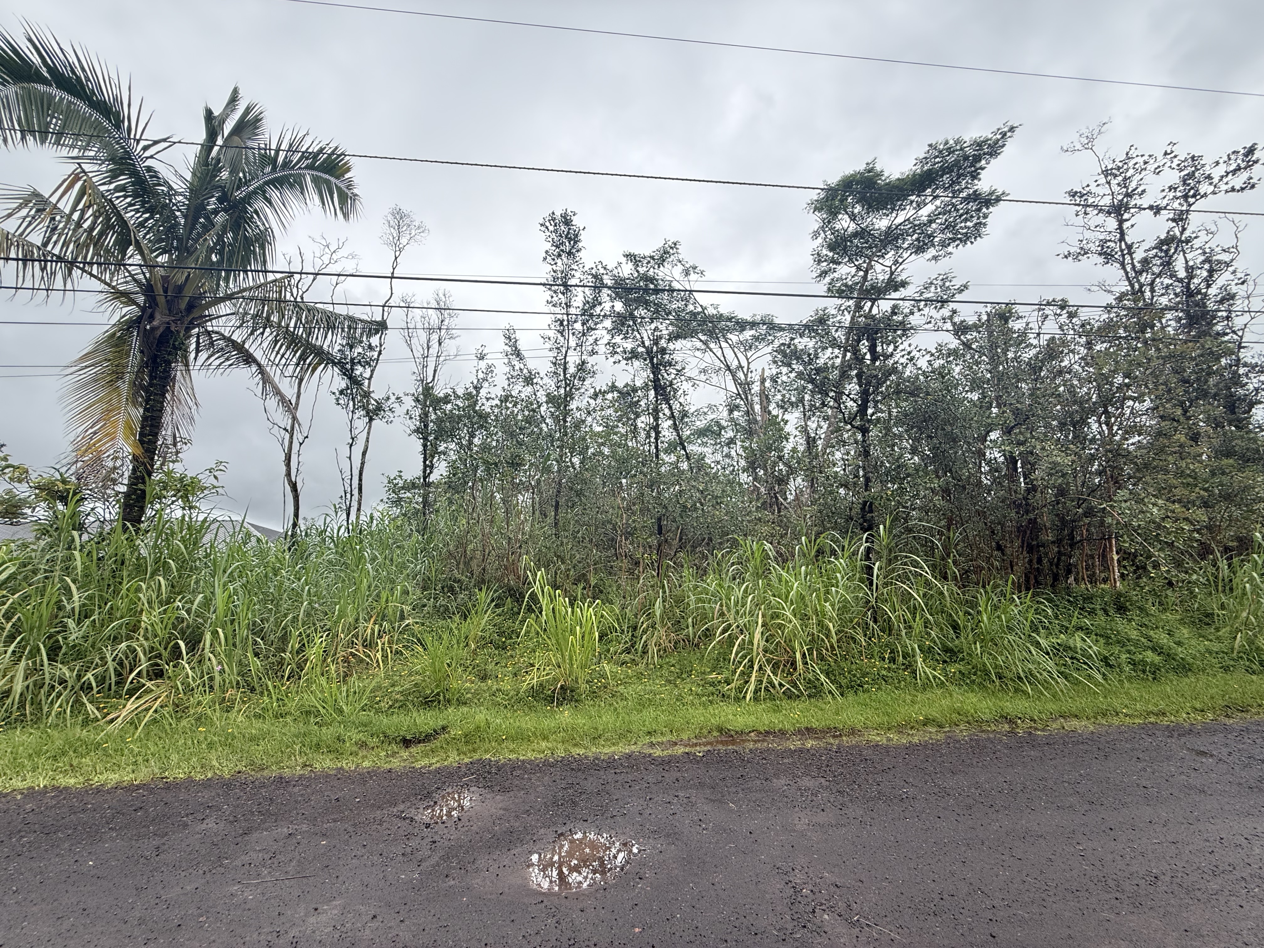 16-2077 Orchid Dr, Pahoa, HI 96778