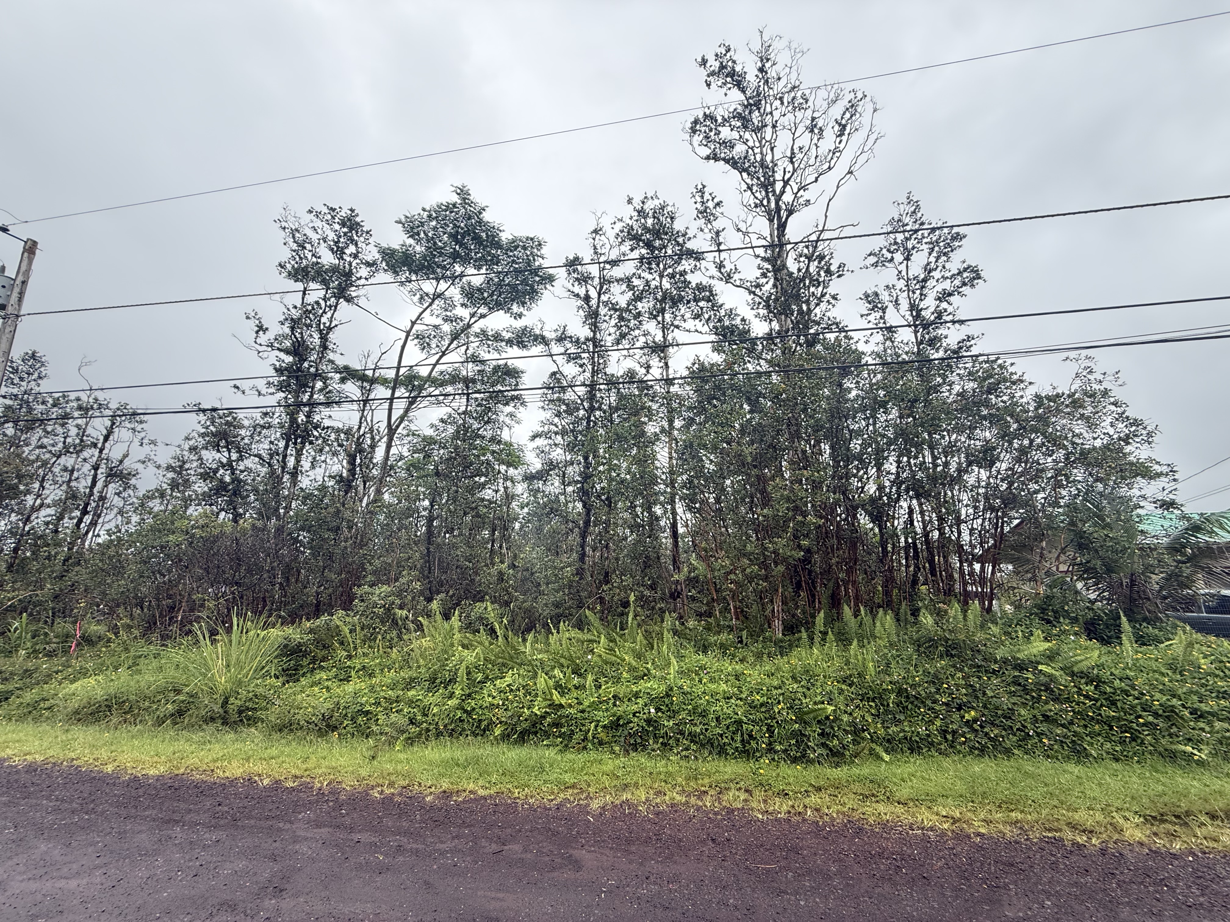16-2079 Orchid Dr, Pahoa, HI 96778