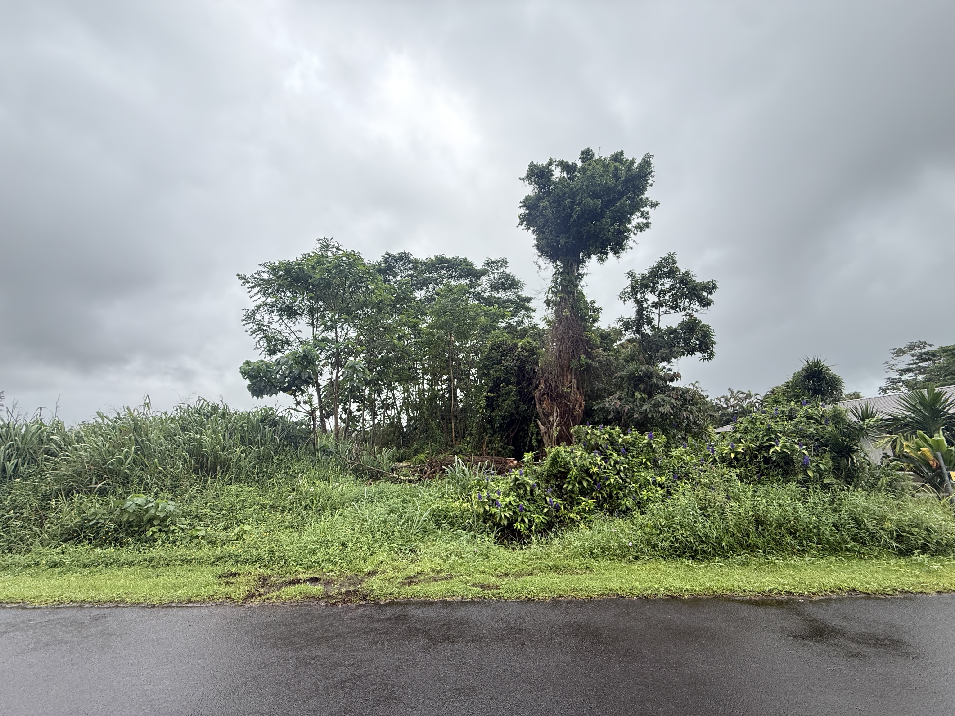 16-2142 Rainbow Dr, Pahoa, HI 96778