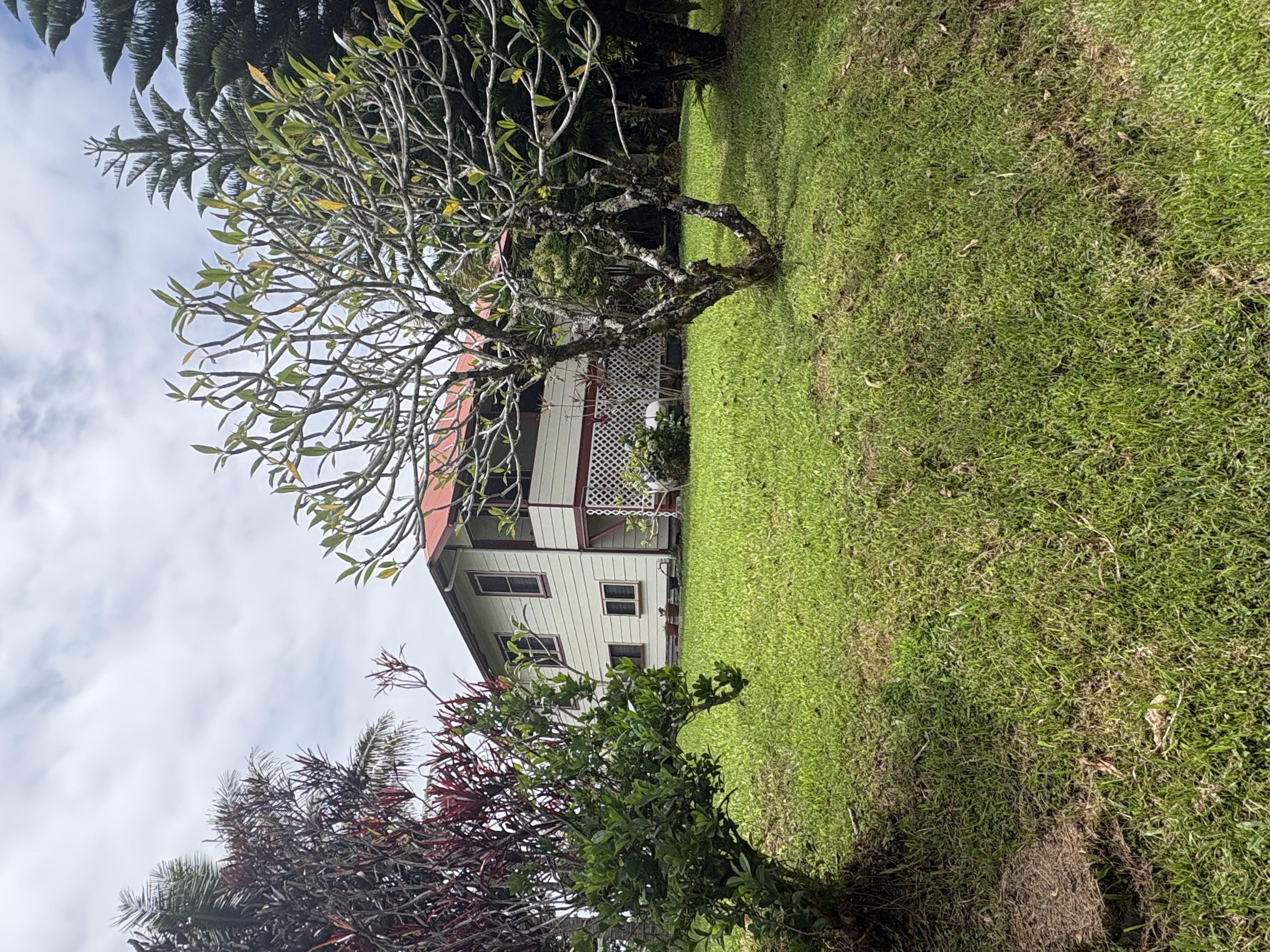 28-273 Stable Camp Rd, Honomu, HI 96728