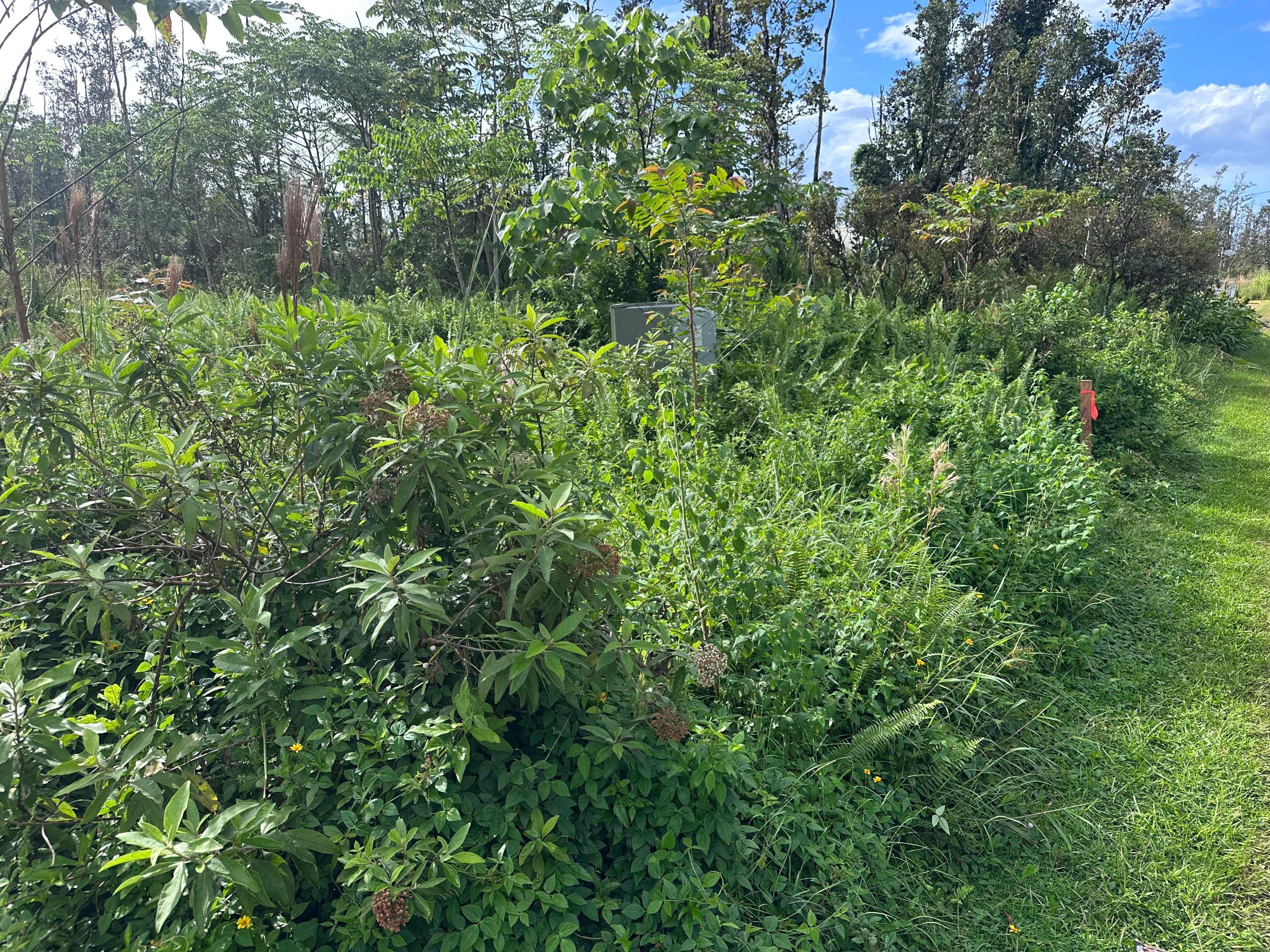 16-2116 Coral Dr, Pahoa, HI 96778