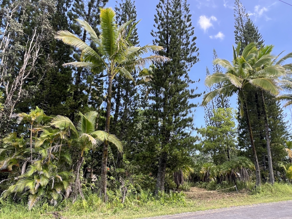 15-1659 14Th Ave, Keaau, HI 96749