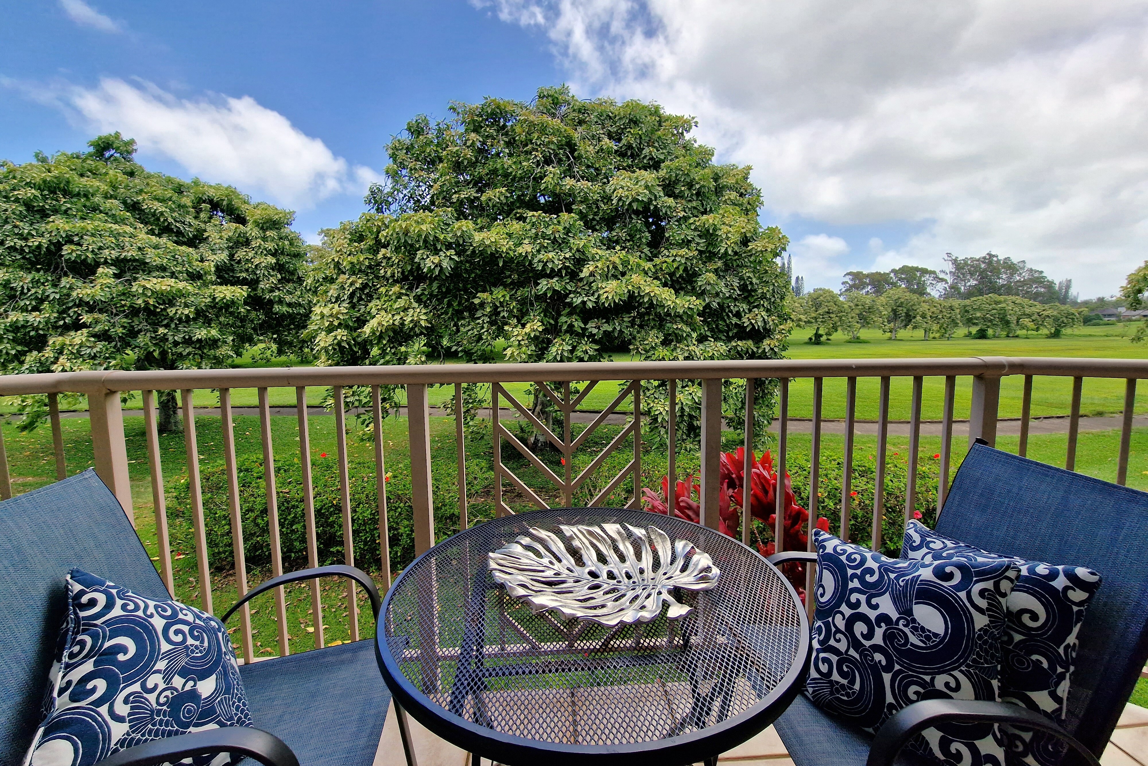 4141 Lei O Papa Rd, 3, Princeville, HI 96722