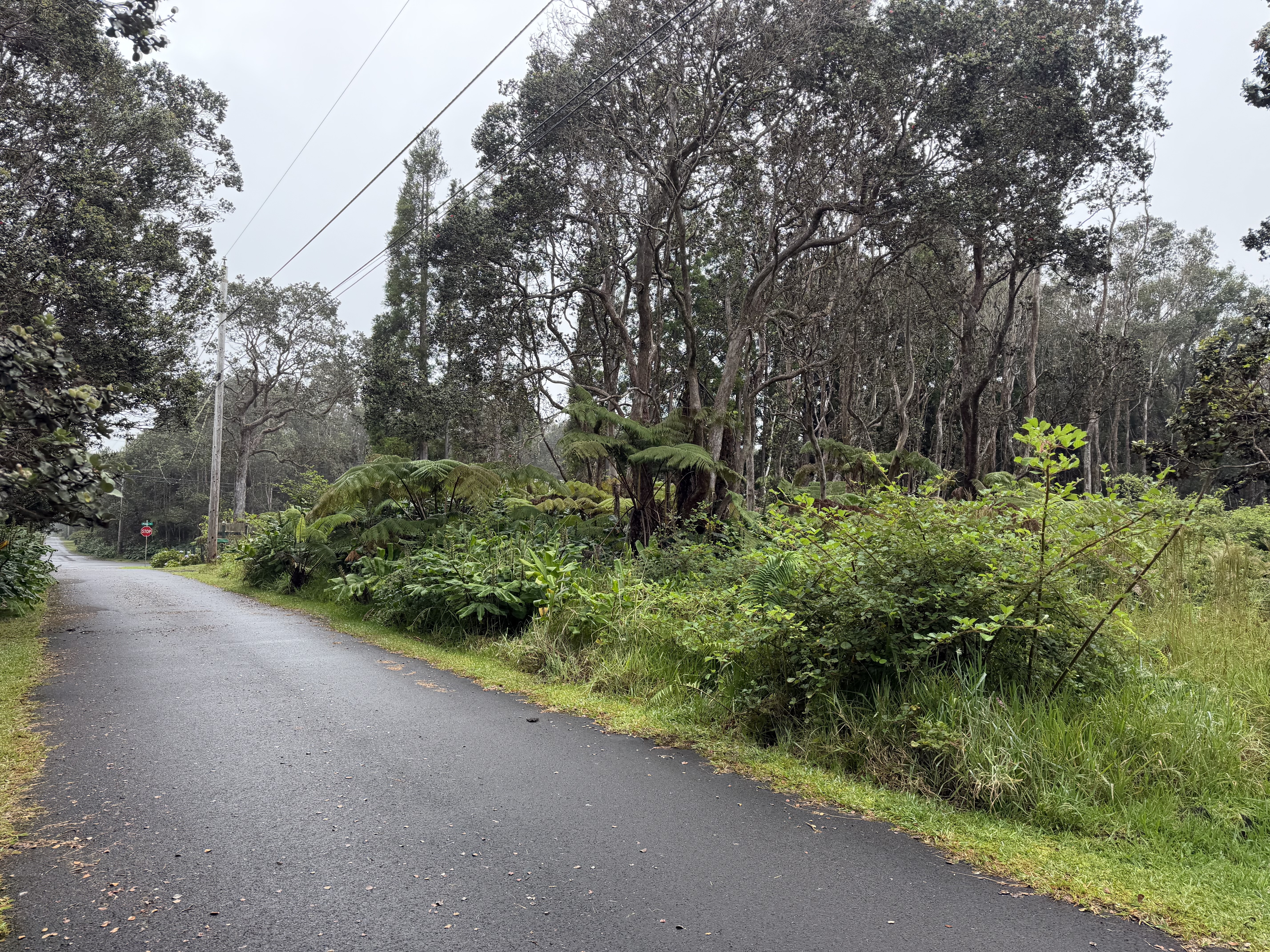 11-3885 2Nd St, Volcano, HI 96785