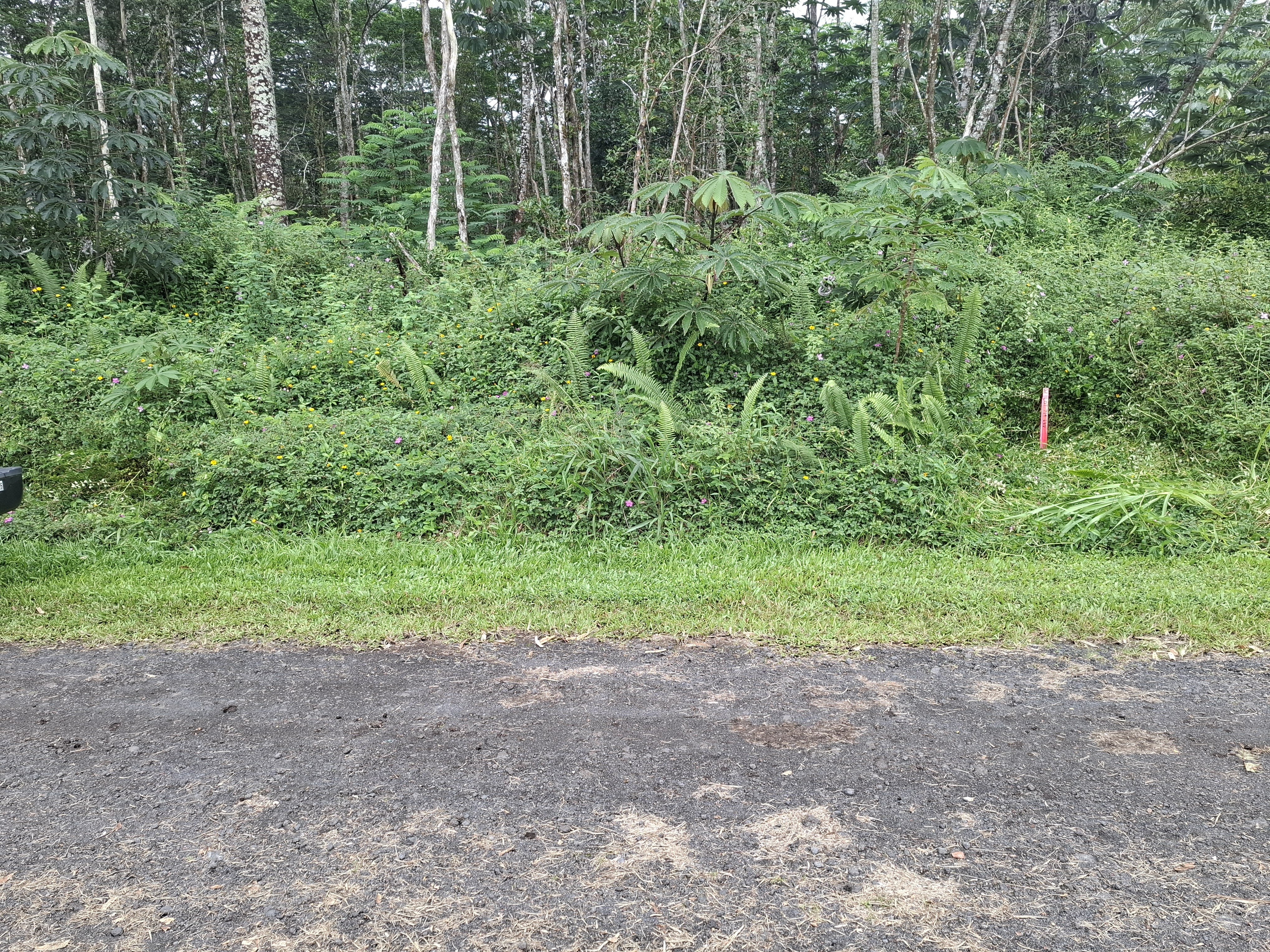 14-3458 Hilo Rd, Pahoa, HI 96778