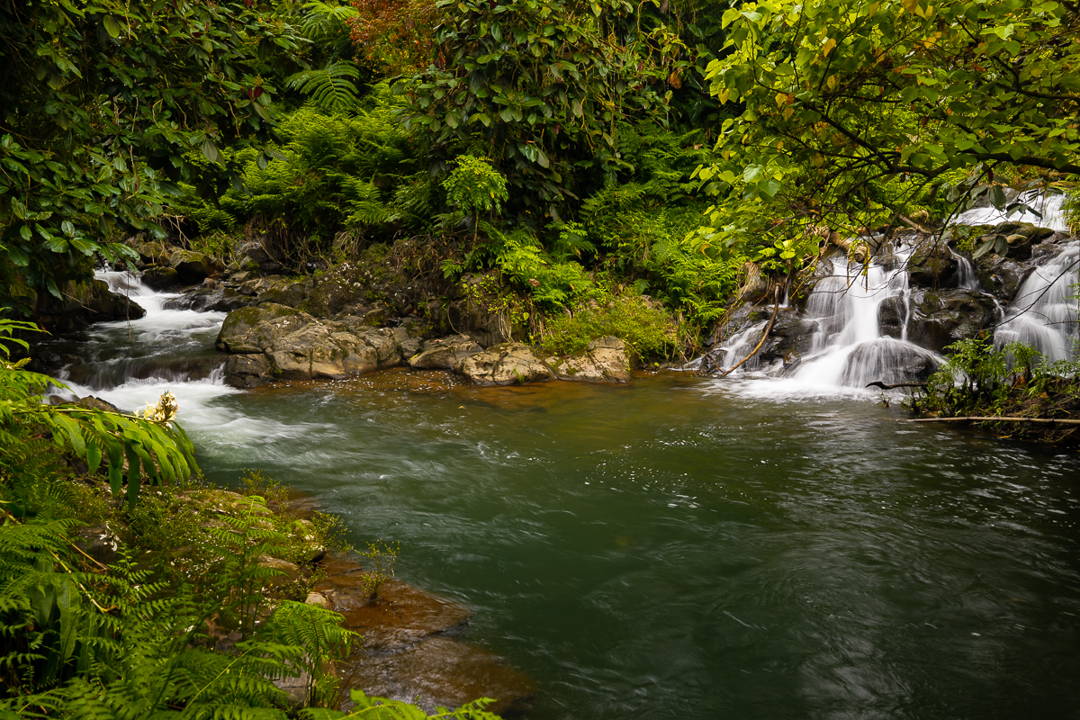 27-418 Old Mamalahoa Hwy, Papaikou, HI 96781