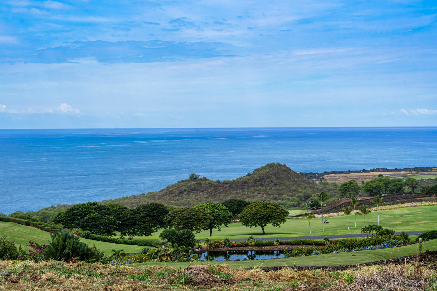 81-6581 Hiaaiono Pl, Kealakekua, HI 96750