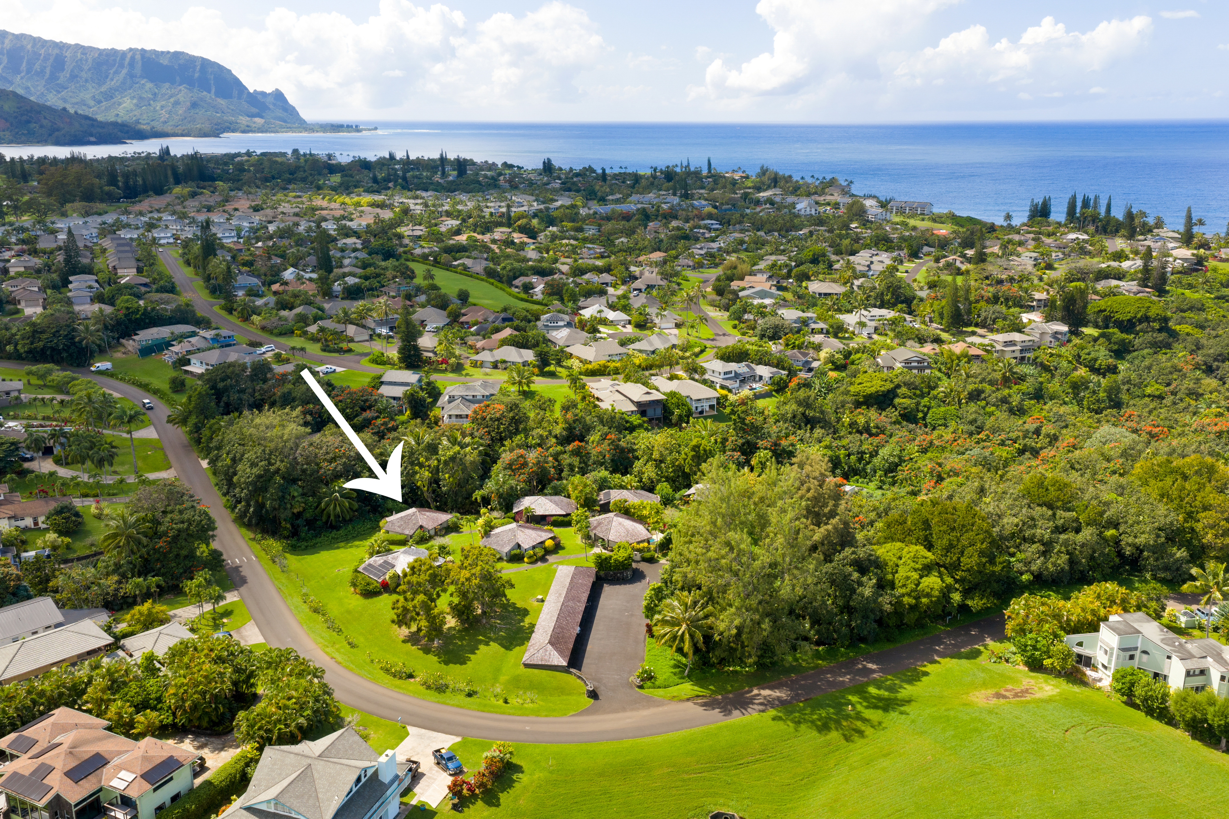 3890 Kamehameha Rd, 7, Princeville, HI 96722