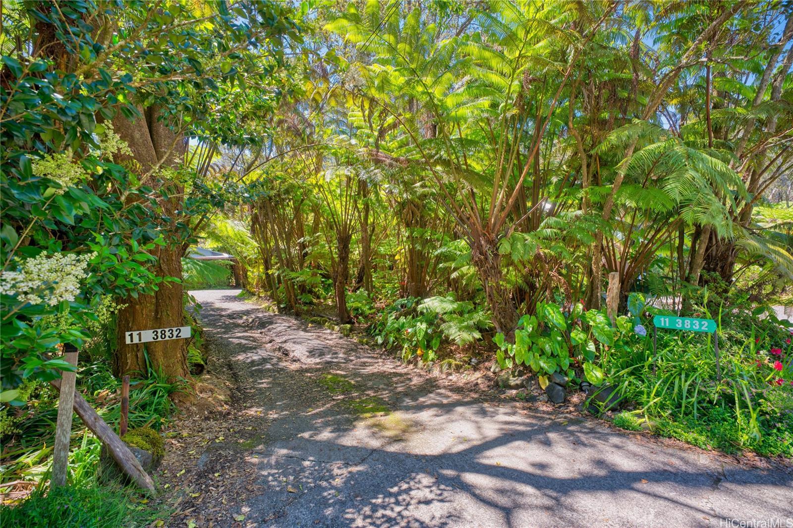 11-3832 2Nd St, Volcano, HI 96785