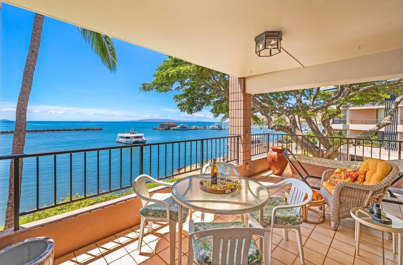 30 Hauoli St, 310, Wailuku, HI 96793-9509