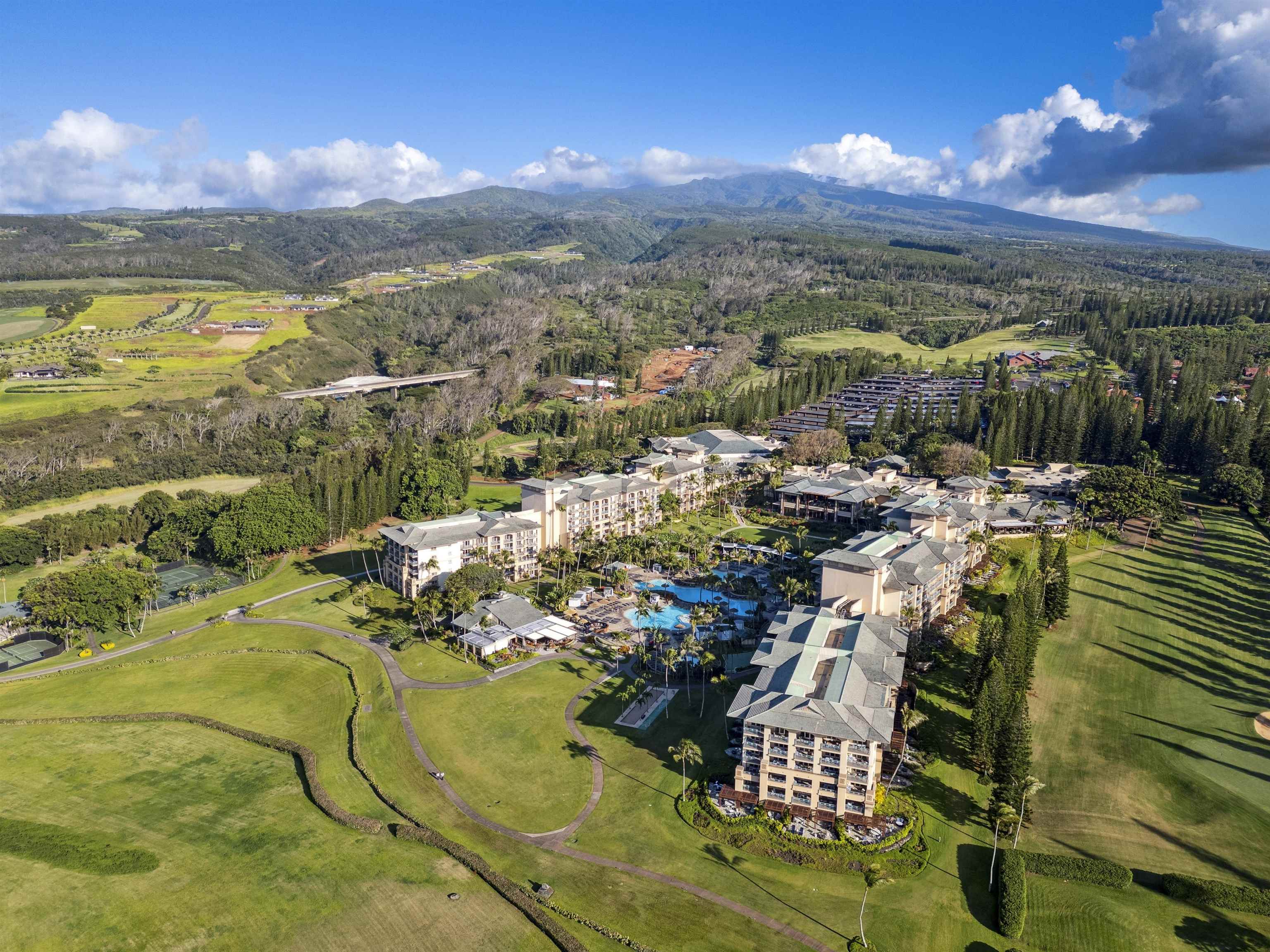 1 Ritz Carlton Dr, 1125, Lahaina, HI 96761