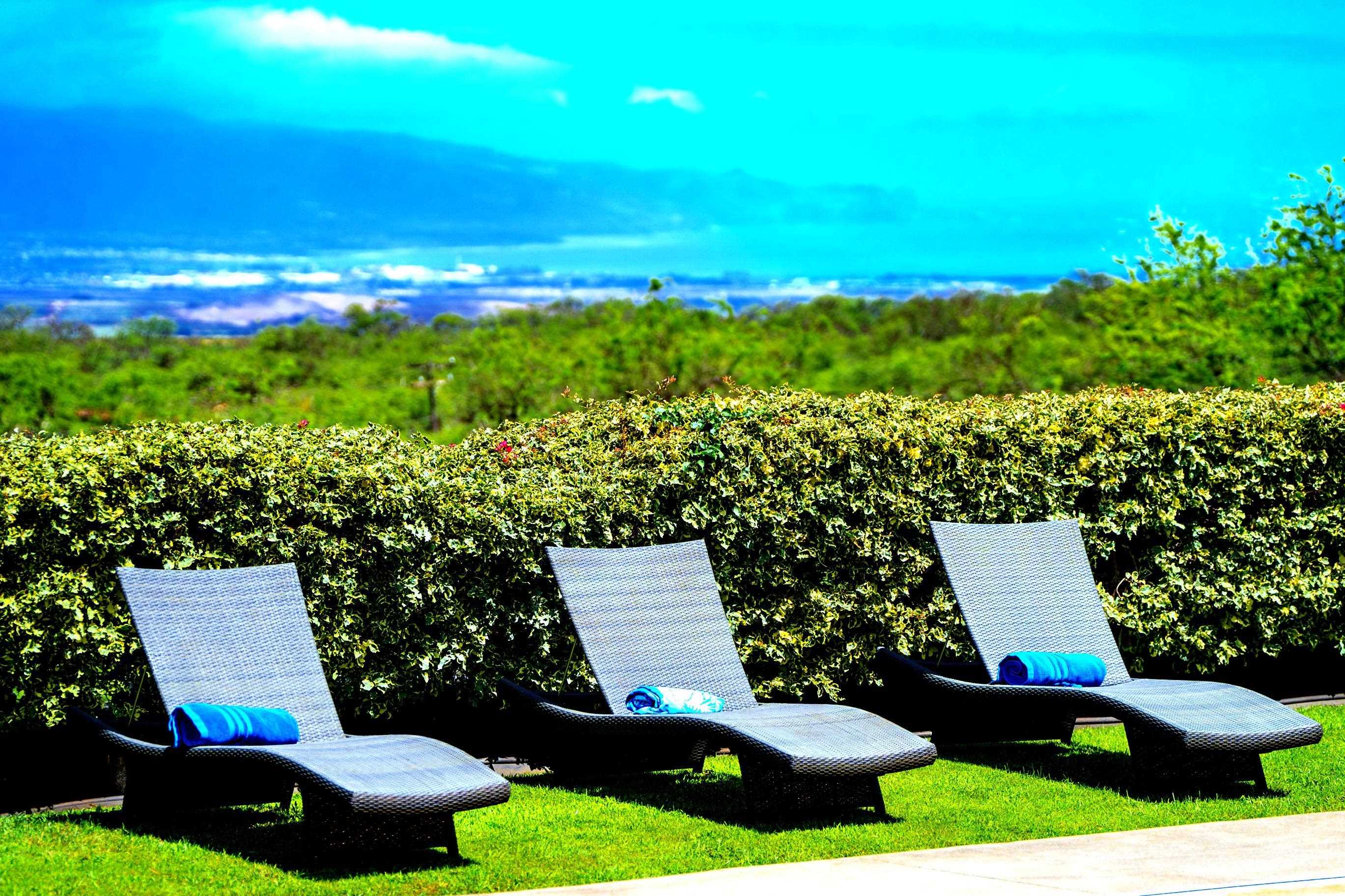 3446 Omaopio Rd, Kula, HI 96798