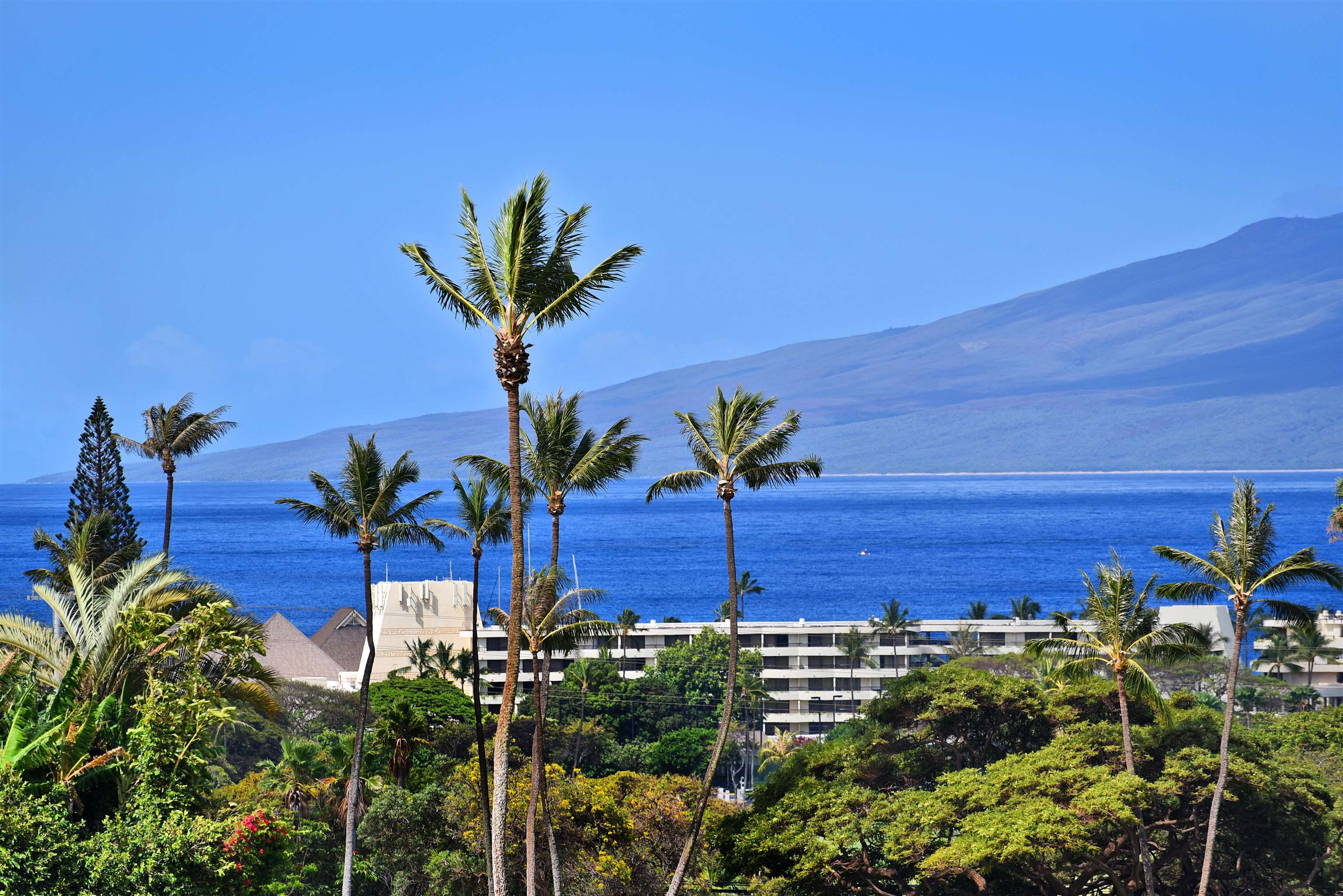 150 Puukolii Rd, 6, Lahaina, HI 96761