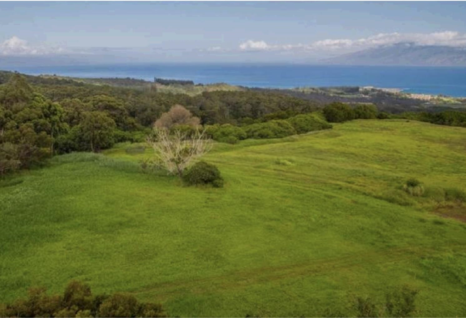 205 Keoawa St, Lot 7, Lahaina, HI 96761