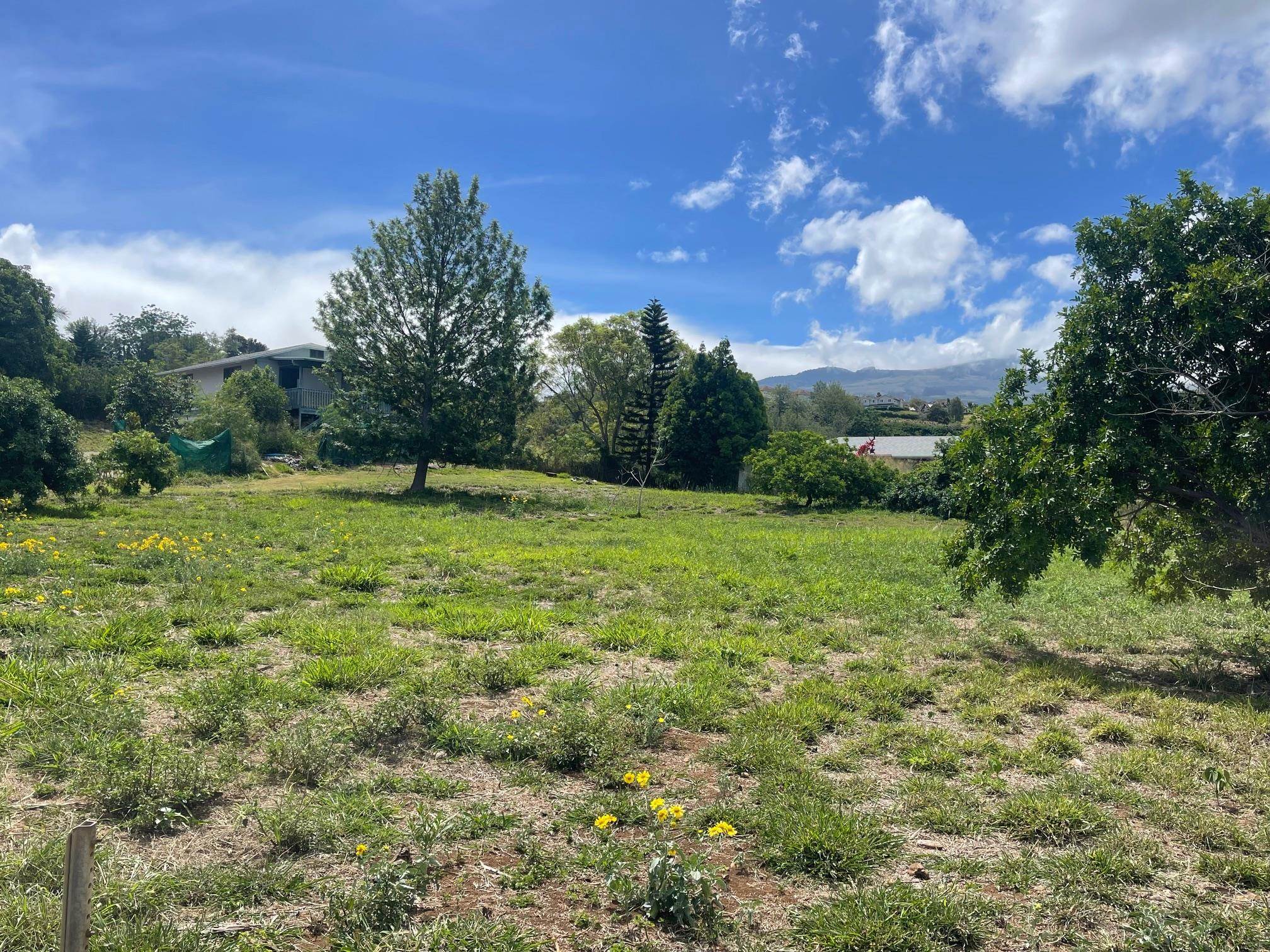 271 Makaena Pl, Pukalani, HI 96768