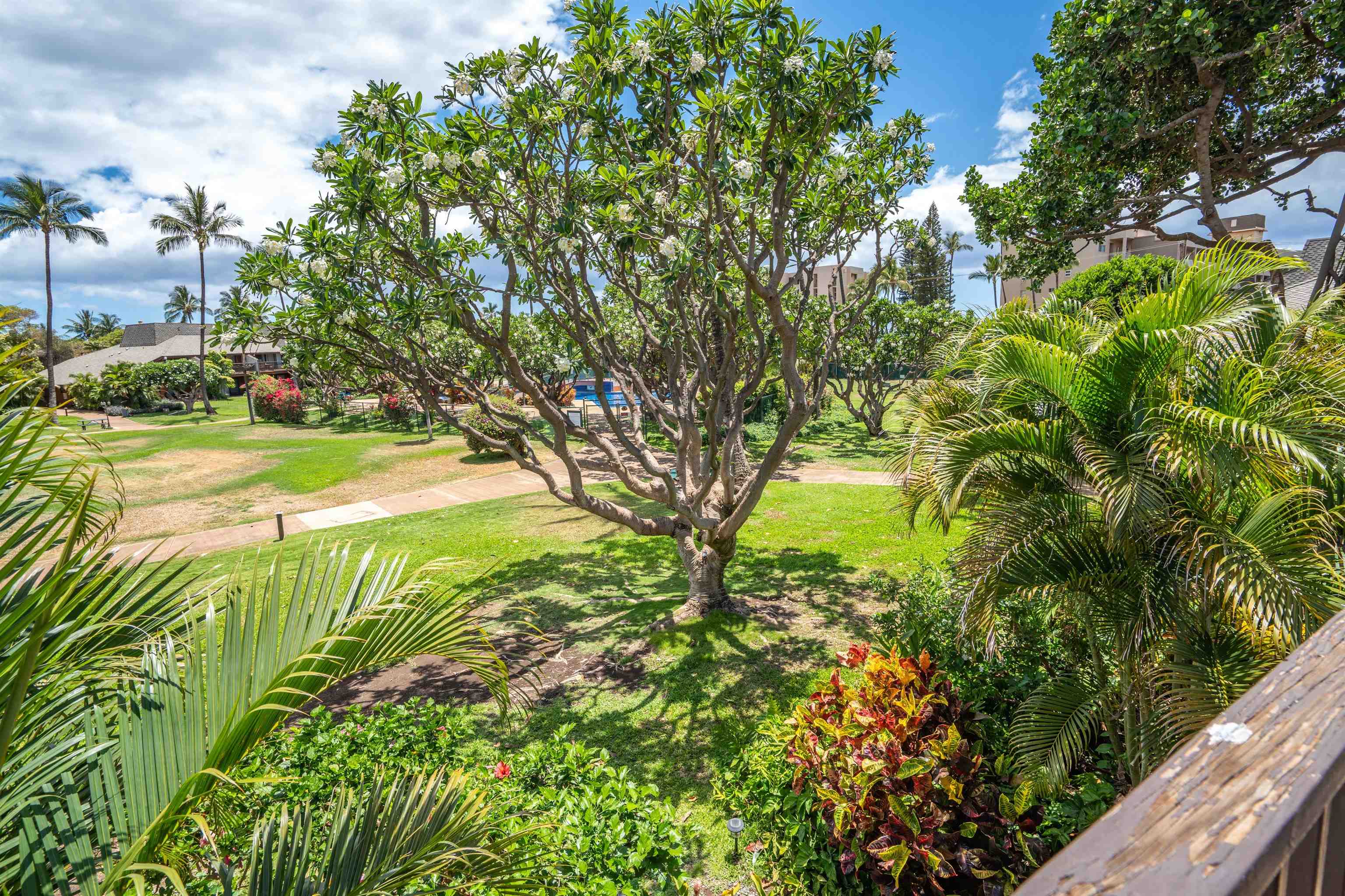 811 Kihei Rd, 2H, Kihei, HI 96753