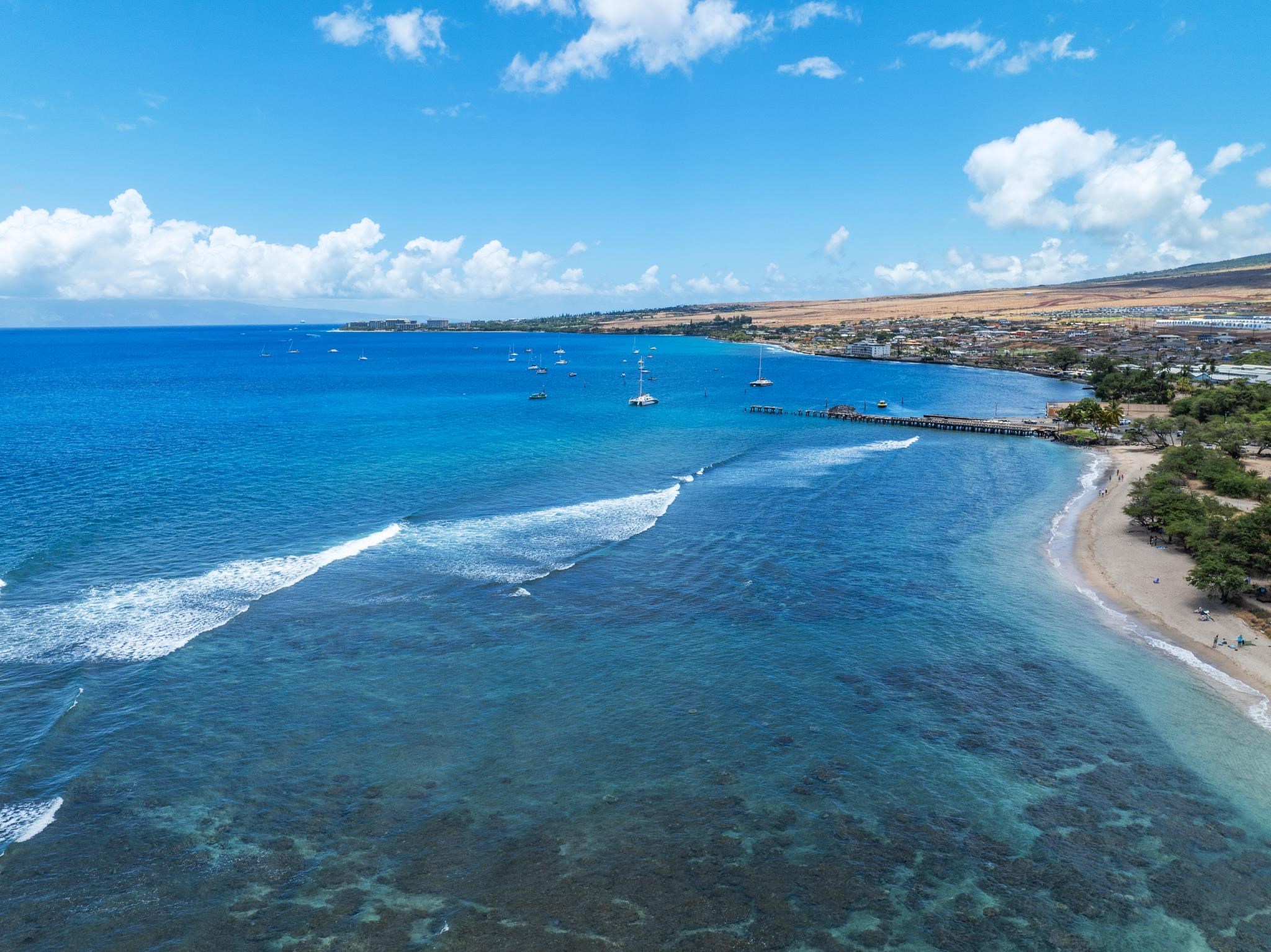 1184 Halepaka Pl, Lahaina, HI 96761