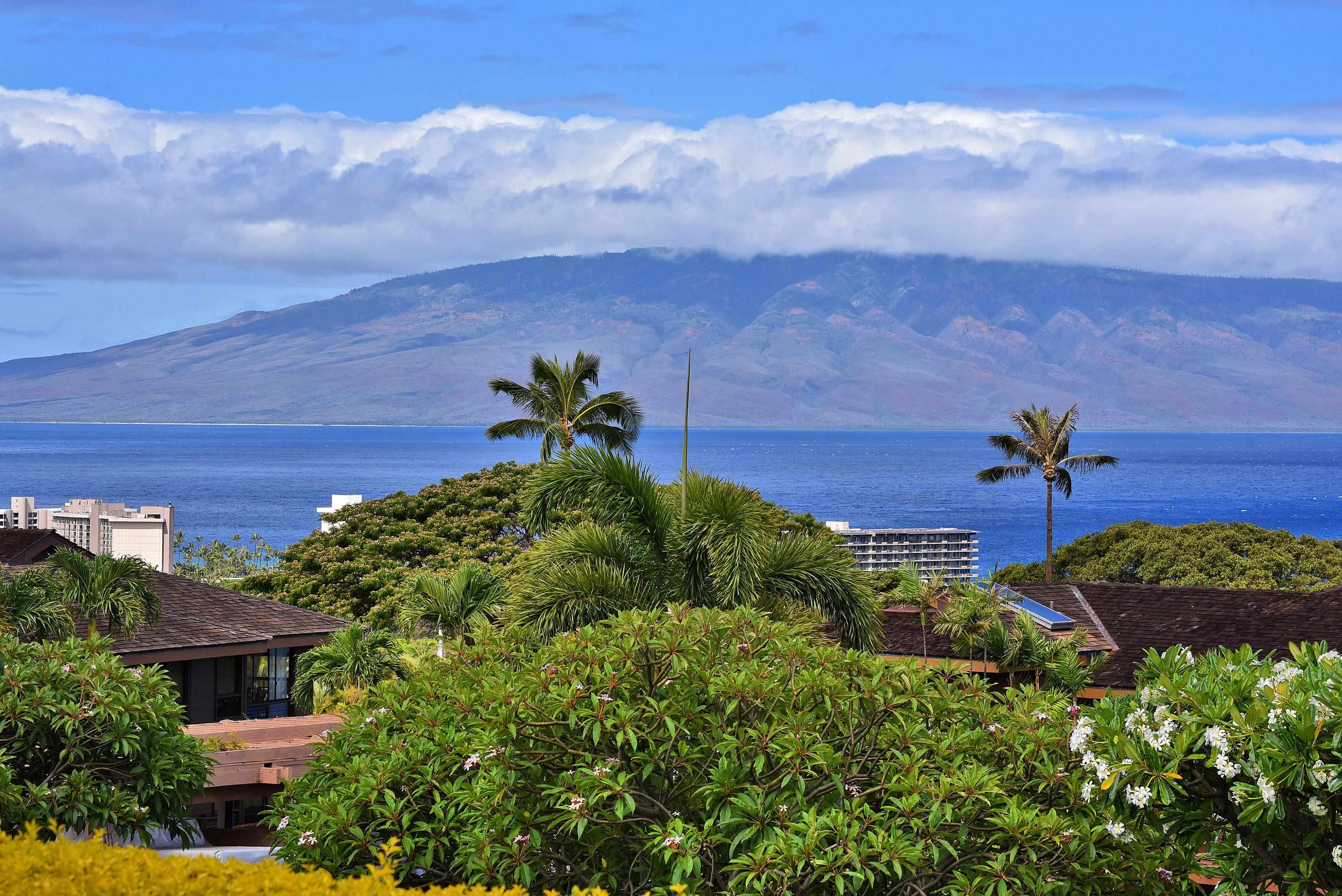 50 Puu Anoano St, 3901, Lahaina, HI 96761