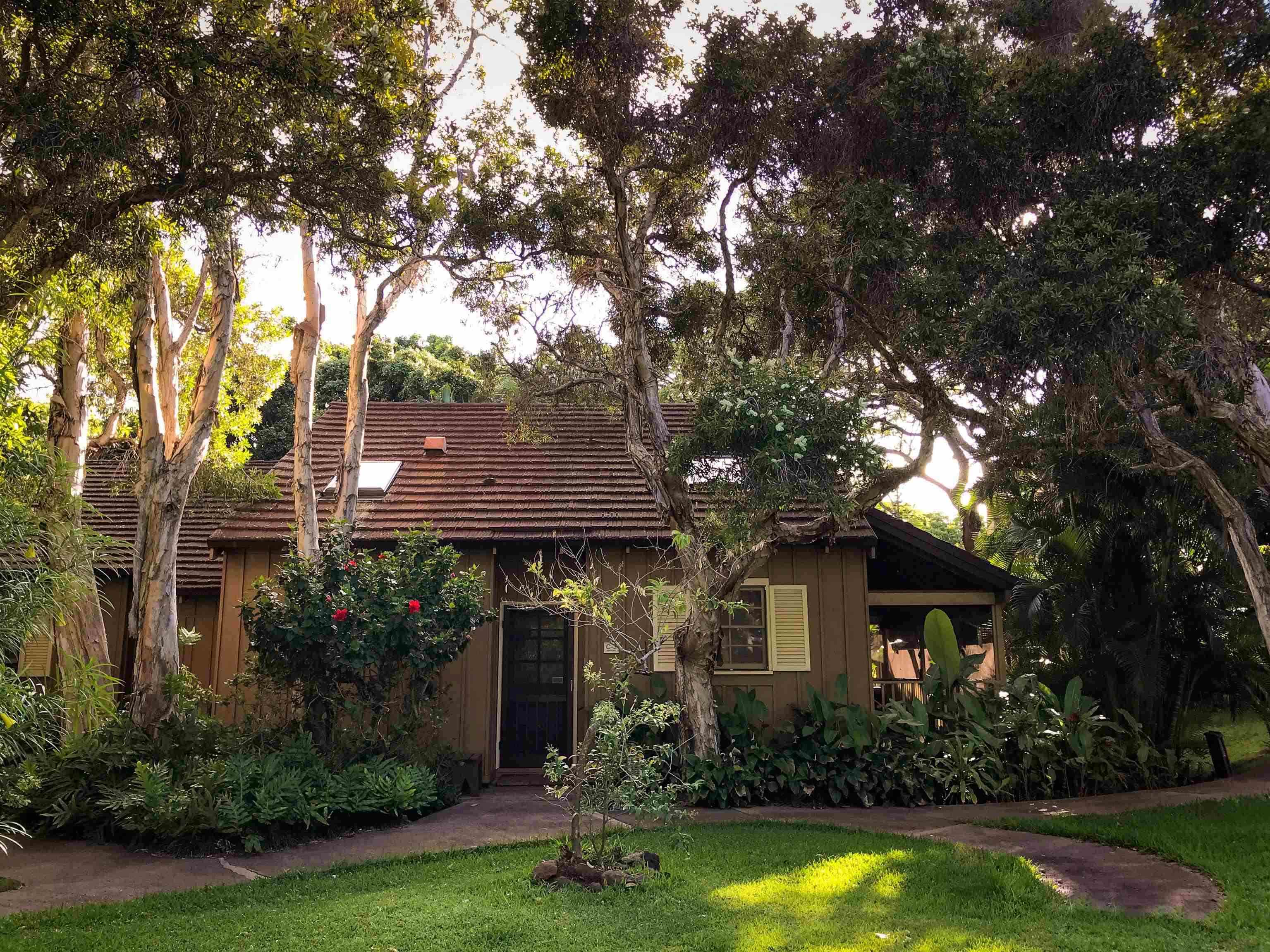 100 Lio Pl, C-3, Maunaloa, HI 96770