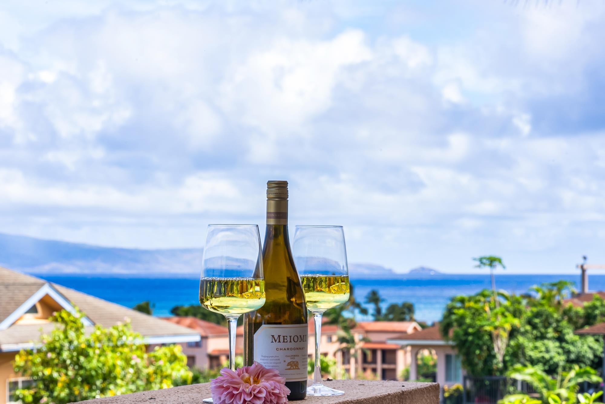 35 Katie Ln, 733, Lahaina, HI 96761