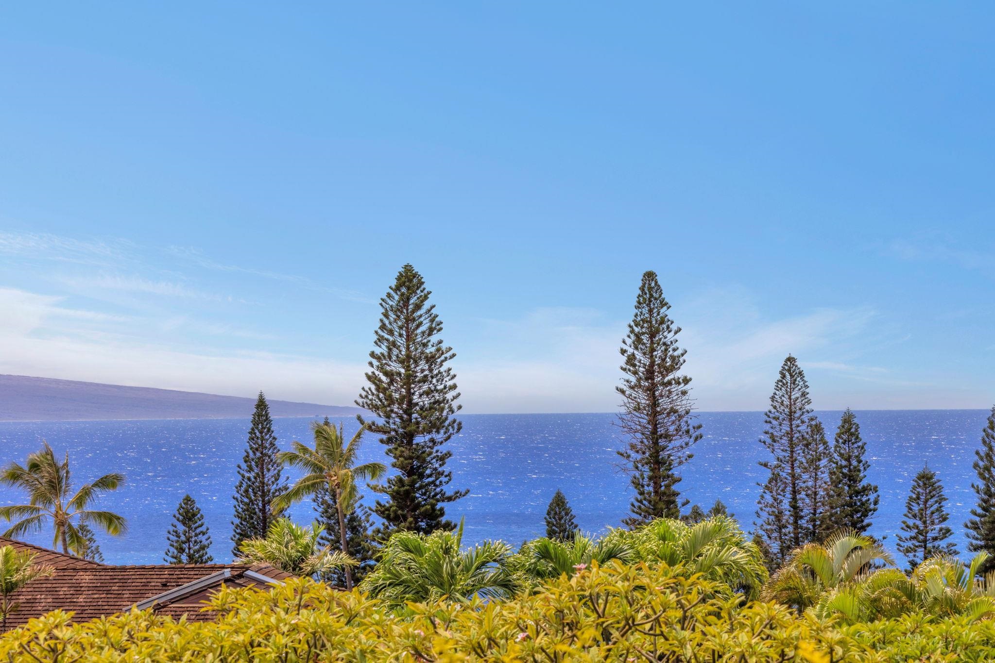 50 Puu Anoano St, 3905, Lahaina, HI 96761