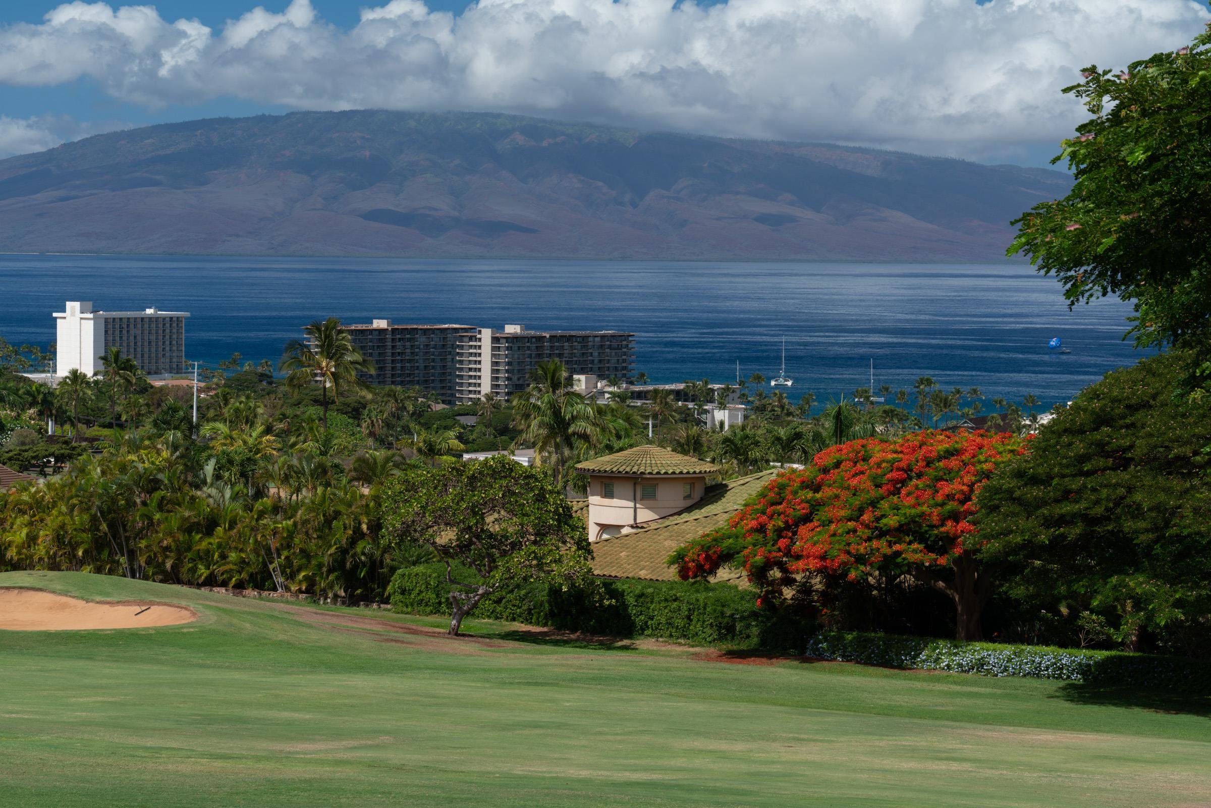 50 Puu Anoano St, 2804, Lahaina, HI 96761