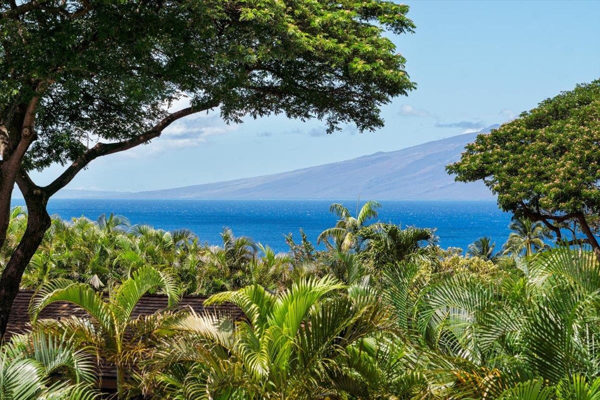 46 Iwa Pl, Lahaina, HI 96761