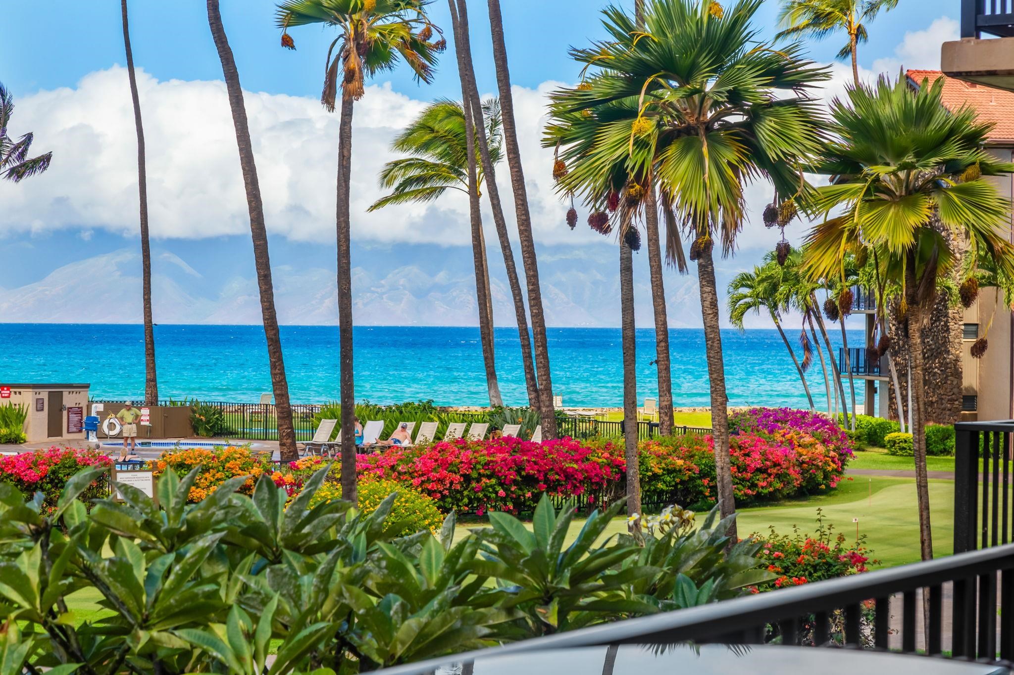 3543 Lower Honoapiilani Rd, C204, Lahaina, HI 96761