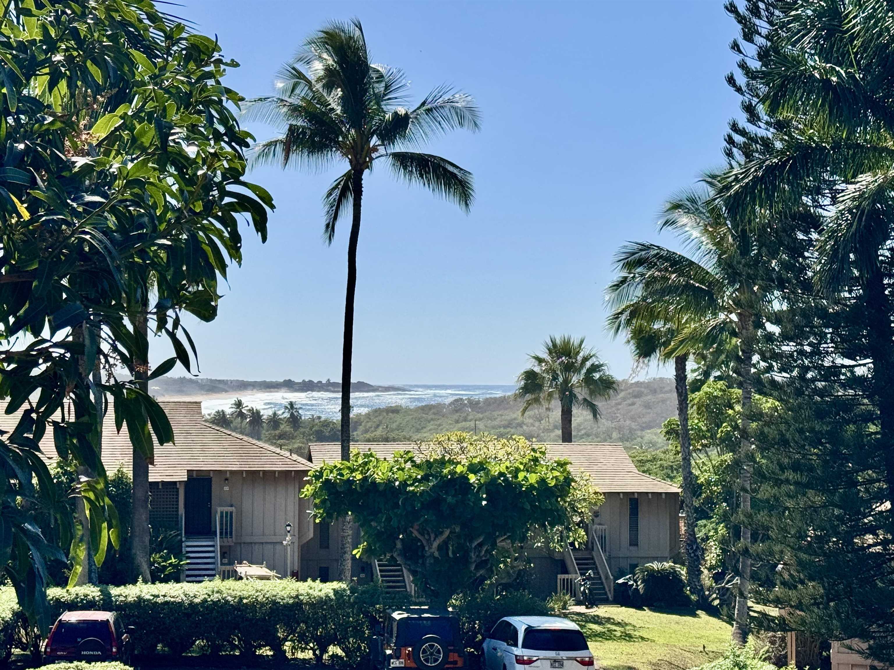 50 Kepuhi Pl, 233, Maunaloa, HI 96770