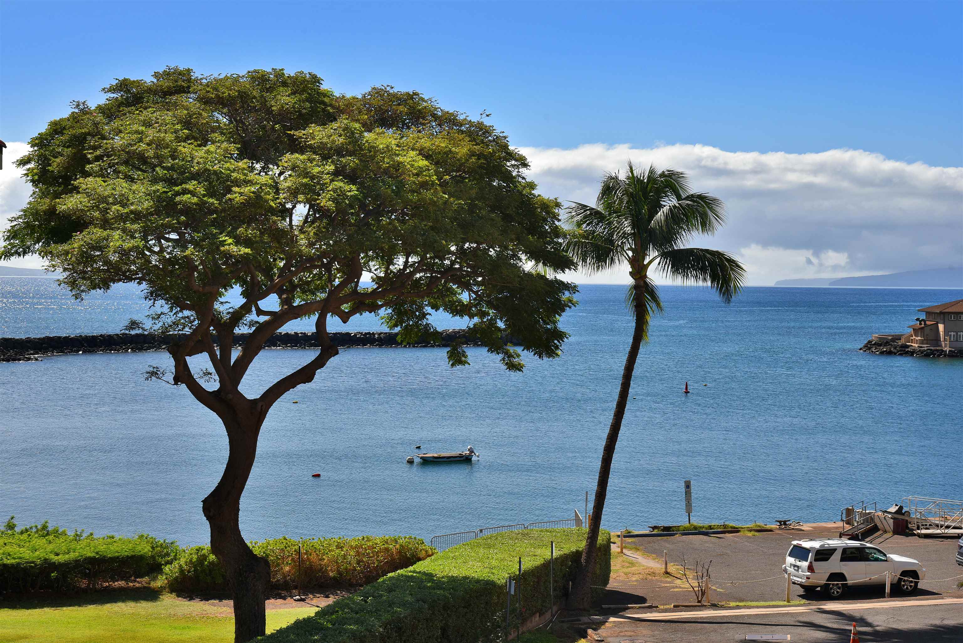 20 Hauoli St, 305, Wailuku, HI 96793