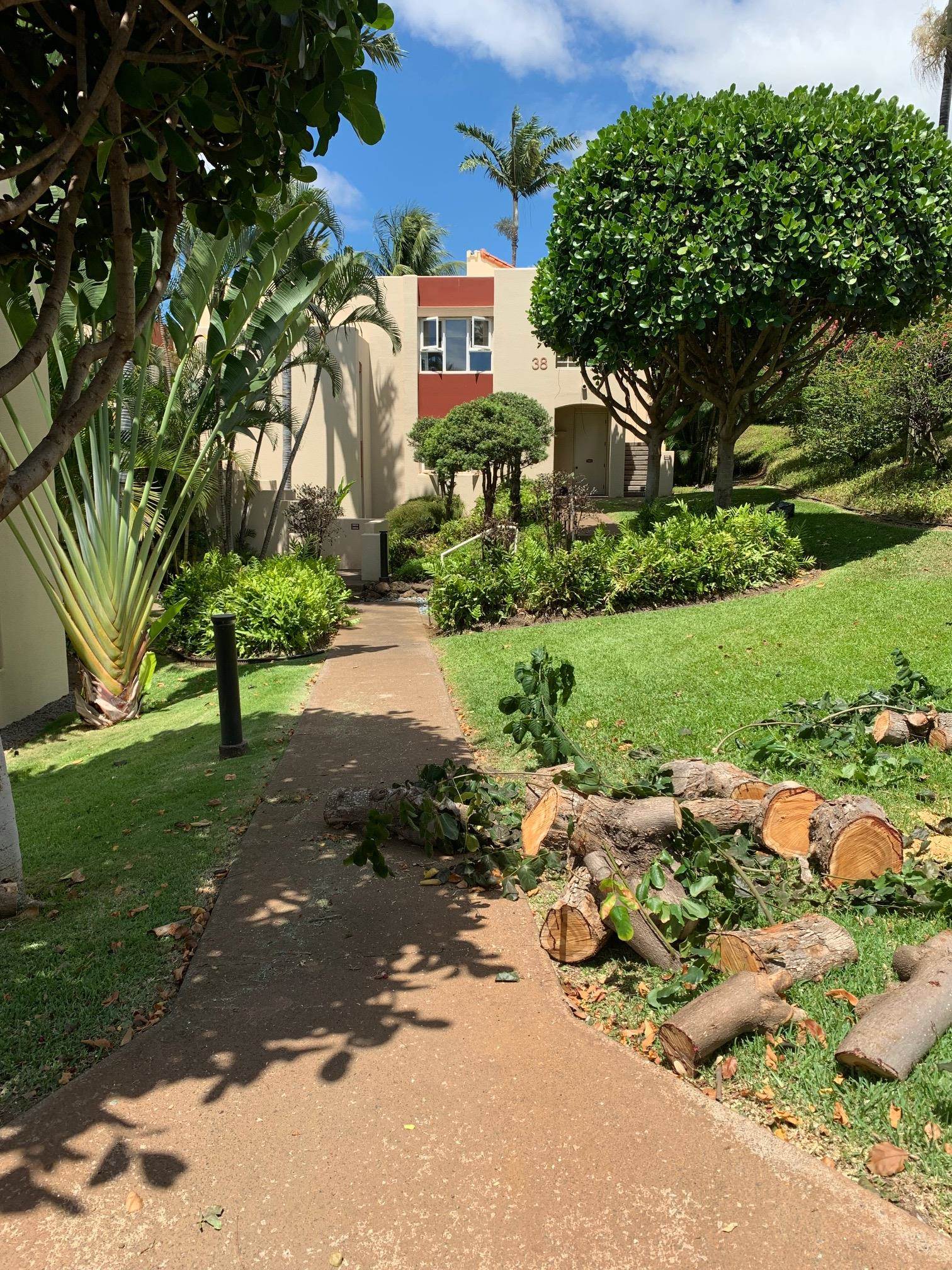 3150 Wailea Alanui Dr, 3805, Kihei, HI 96753-1111