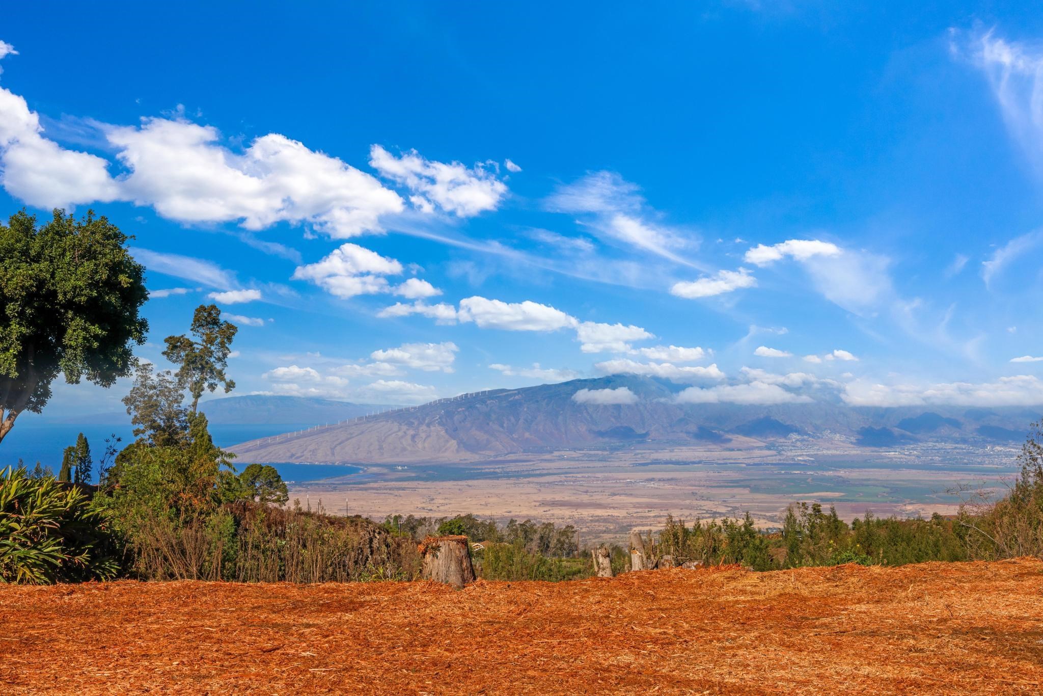 0 Haleakala Hwy, Unit 4, Kula, HI 96790