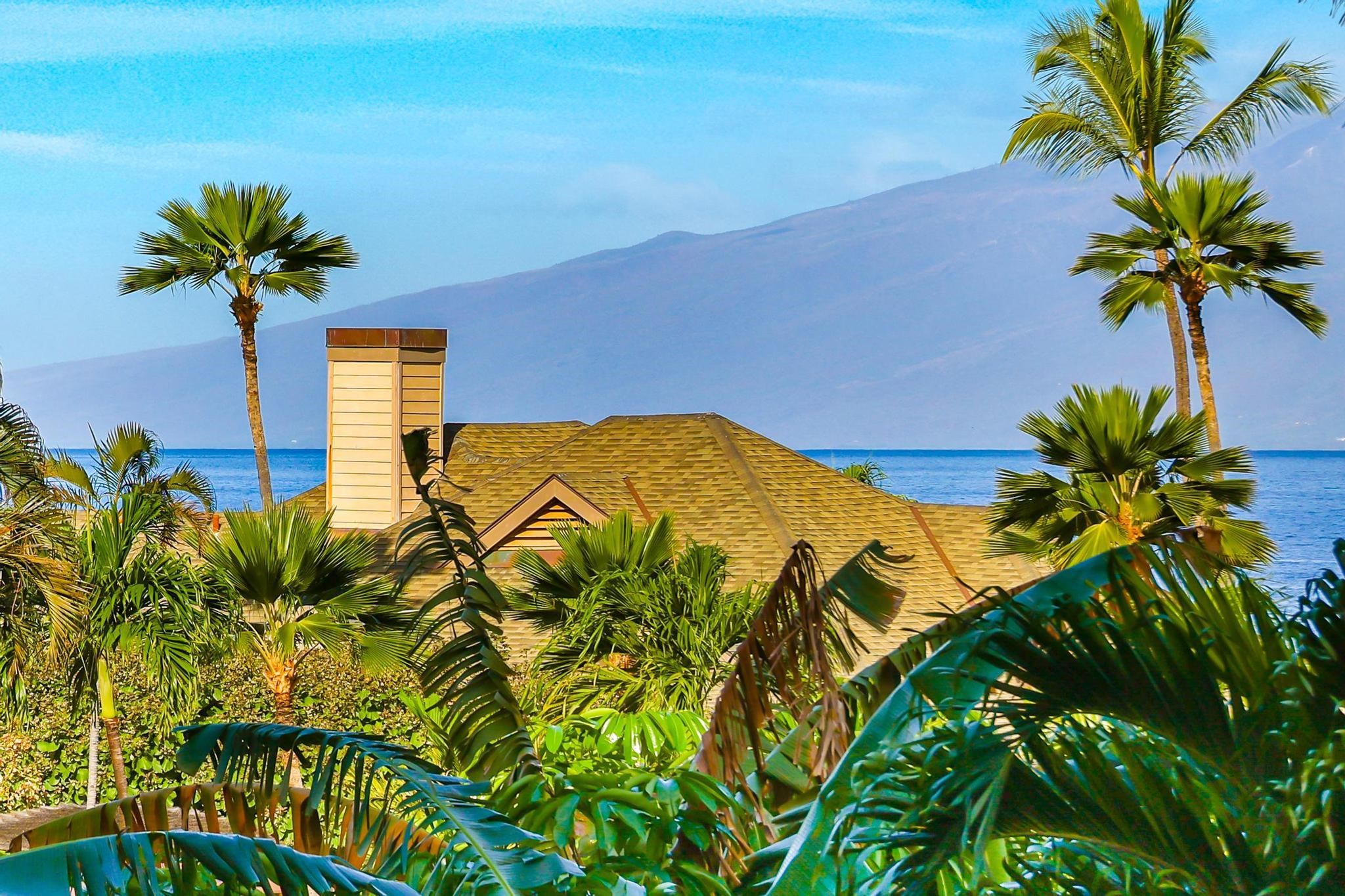 3445 Lower Honoapiilani Rd, 337, Lahaina, HI 96761