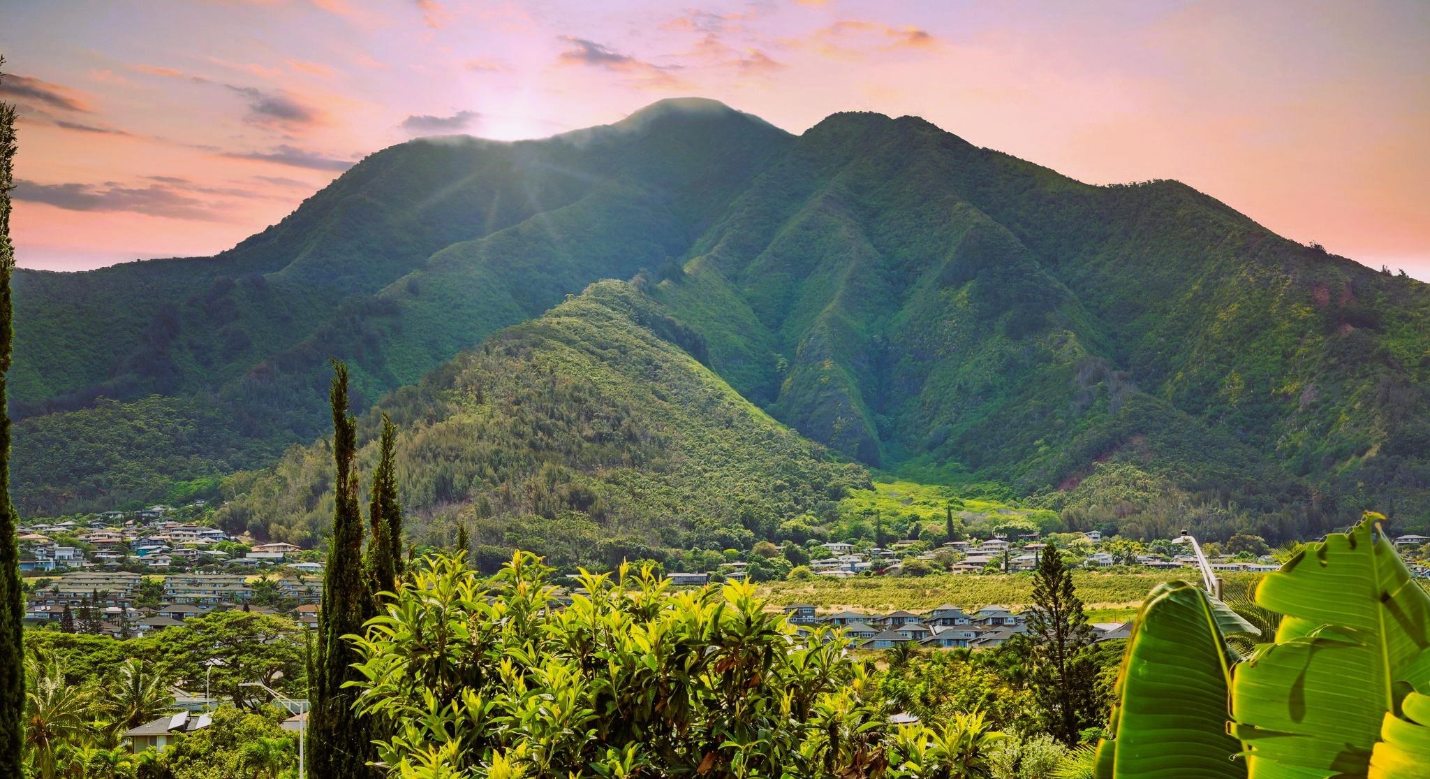 663 Meakanu Ln, 701, Wailuku, HI 96793-2941